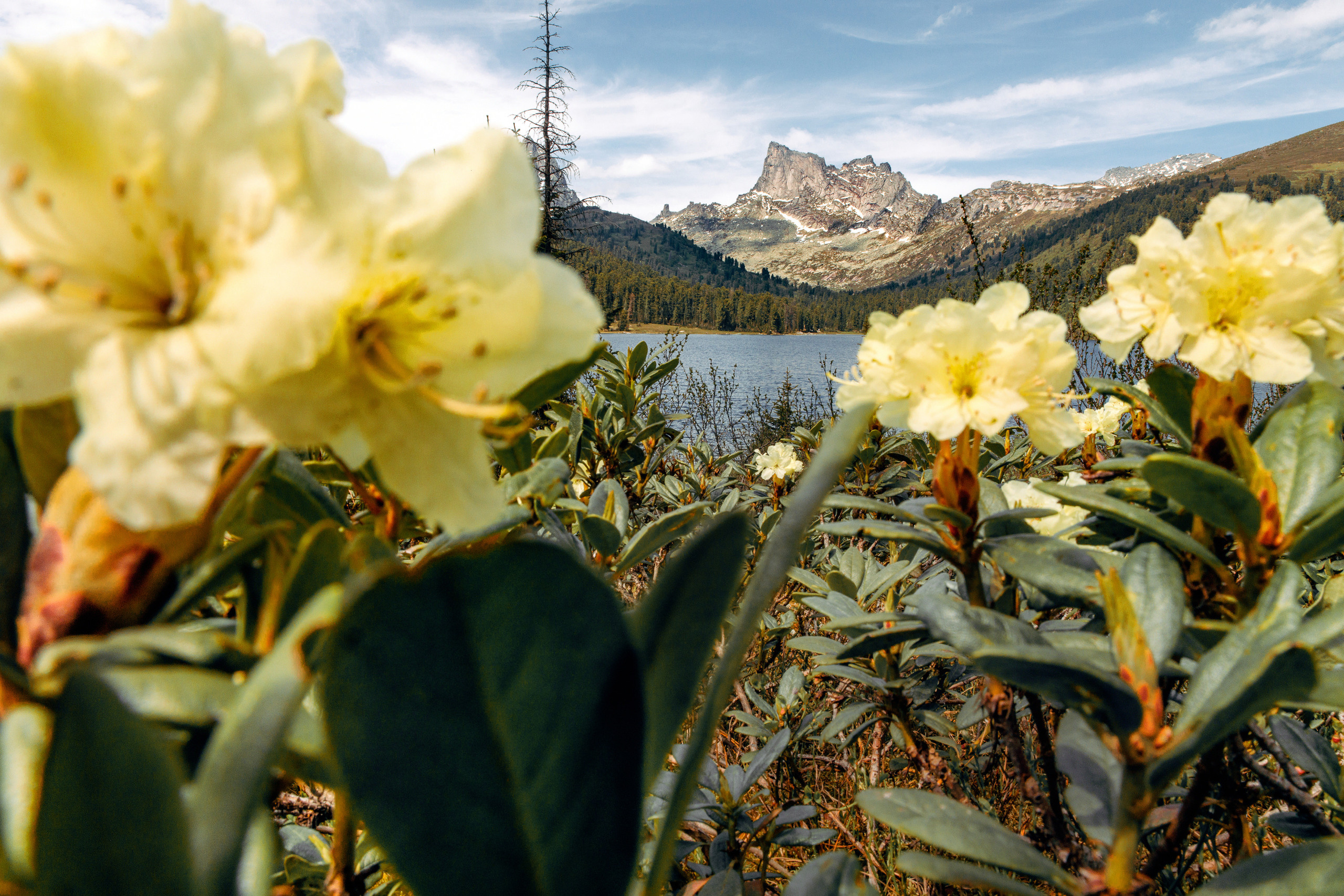 Пик Птица. Ергаки. Свадебный и репортажный фотограф в Москве Владимир Сергеев | Naysaikolo