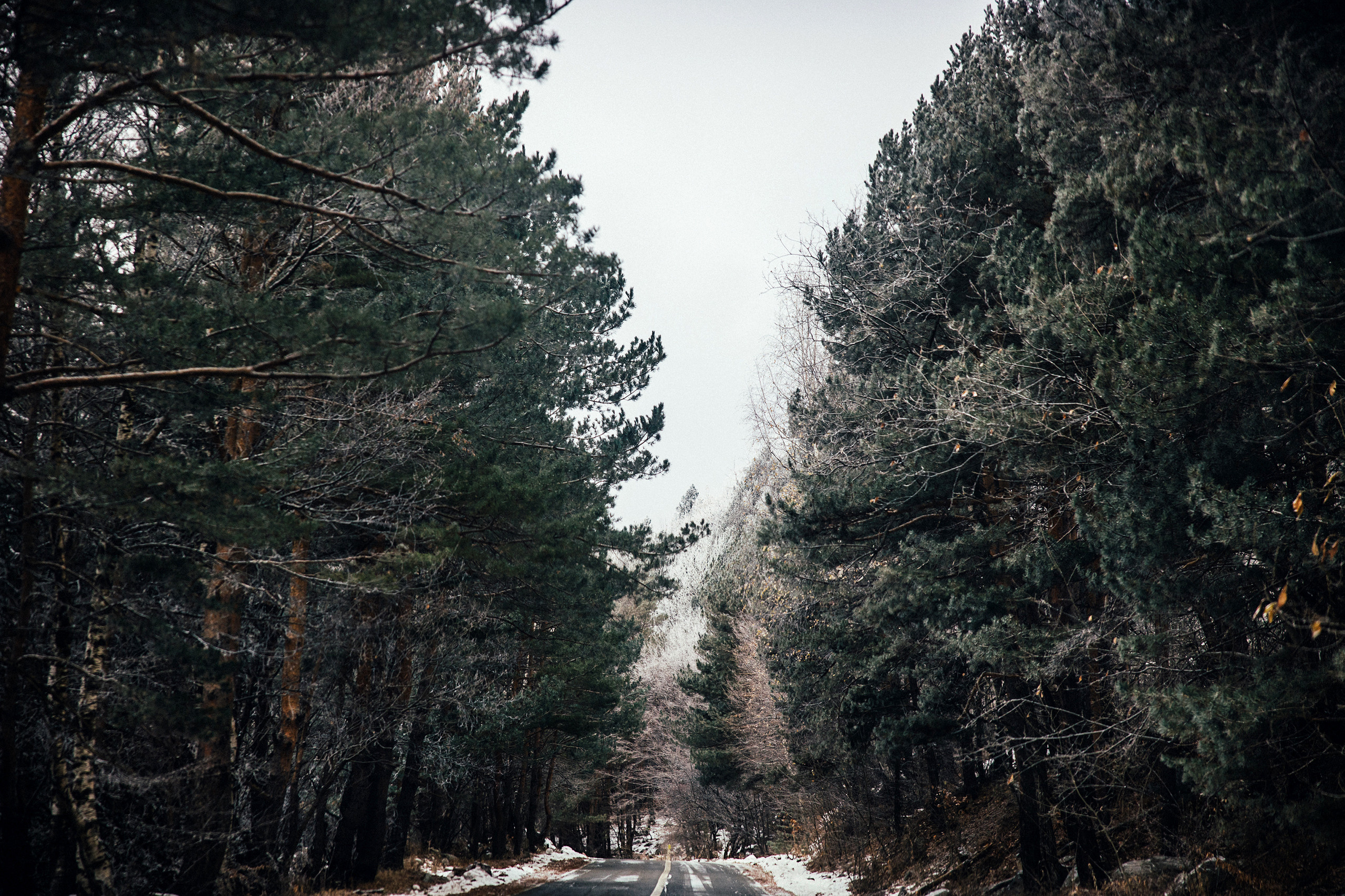Северная Осетия. Свадебный и репортажный фотограф в Москве Владимир Сергеев | Naysaikolo