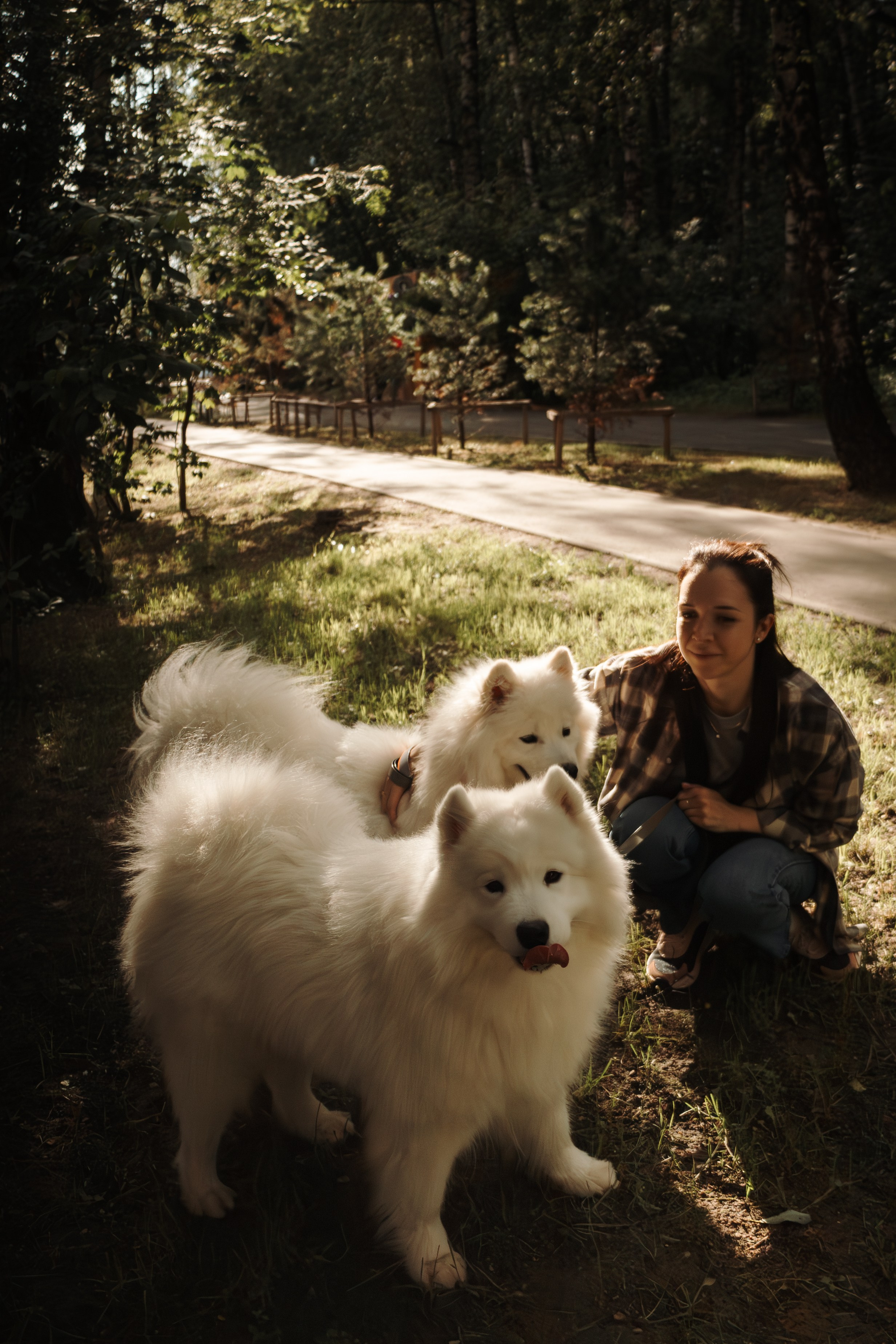 Фотосессия девушки с 2 собаками самоедами в лесопарке. Фотограф-анималист в Москве Екатерина Тихонова