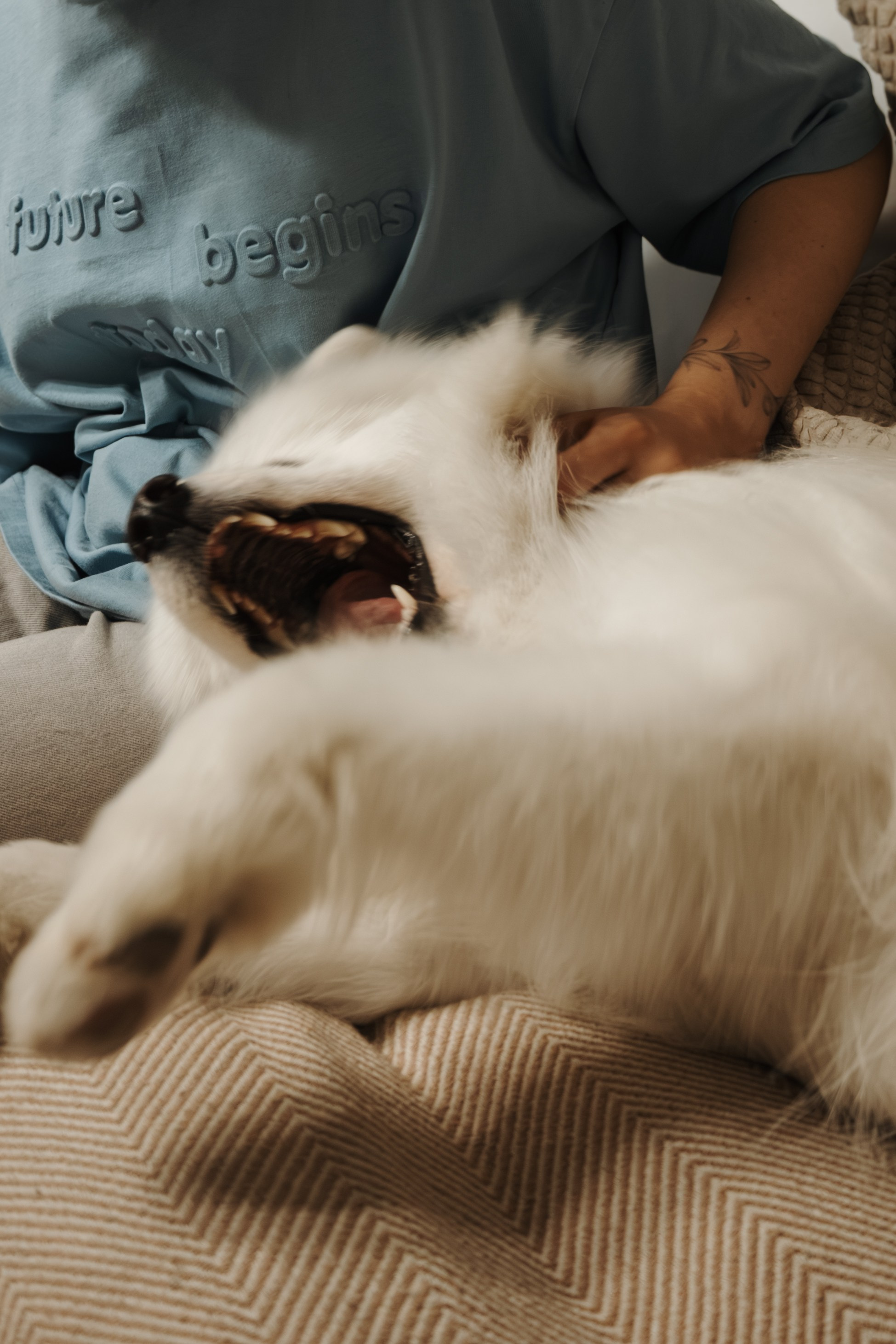 Домашняя фотосессия девушки с собакой и пара фото в дождливый день. Фотограф-анималист в Москве Екатерина Тихонова