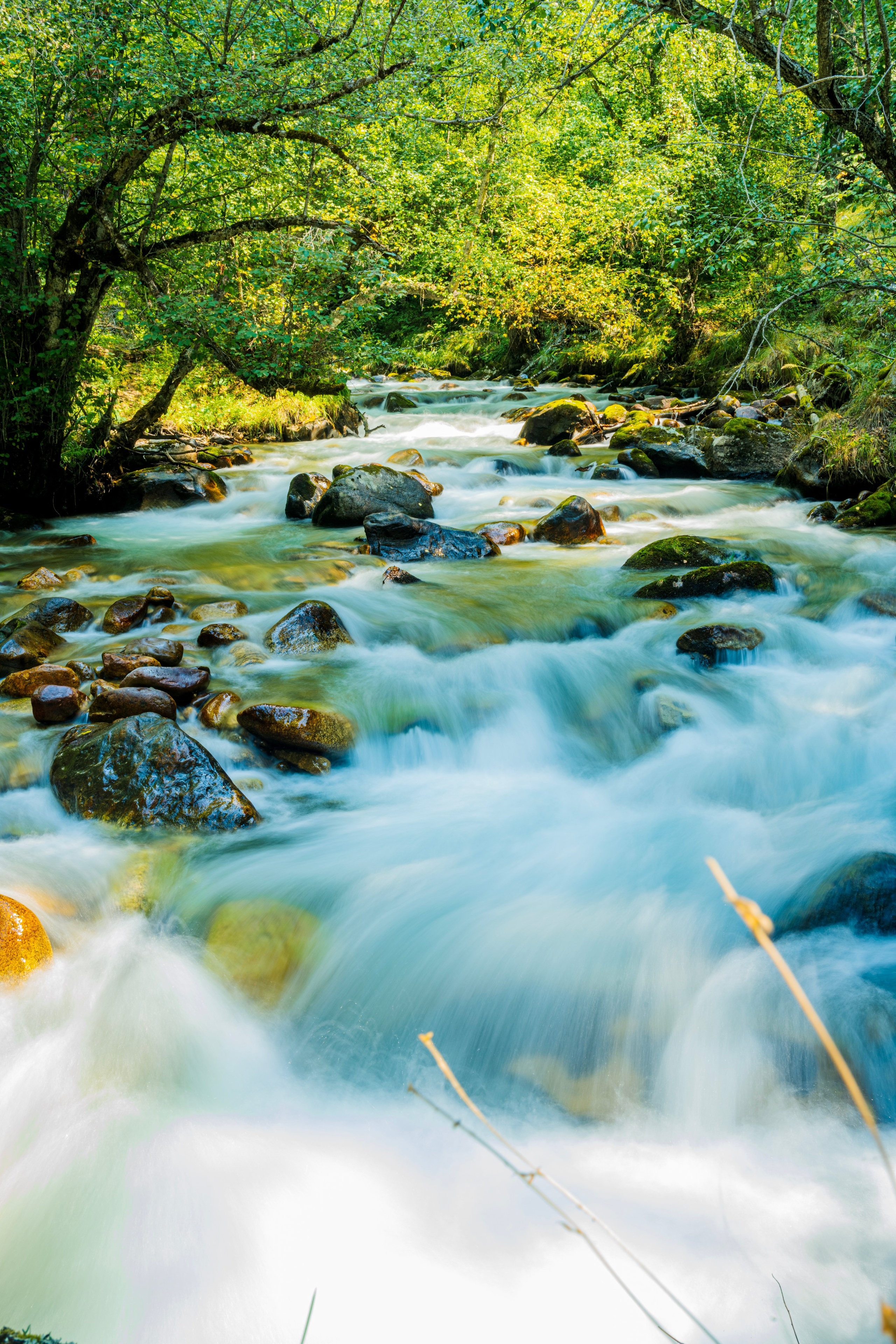 Экспедиция 2024