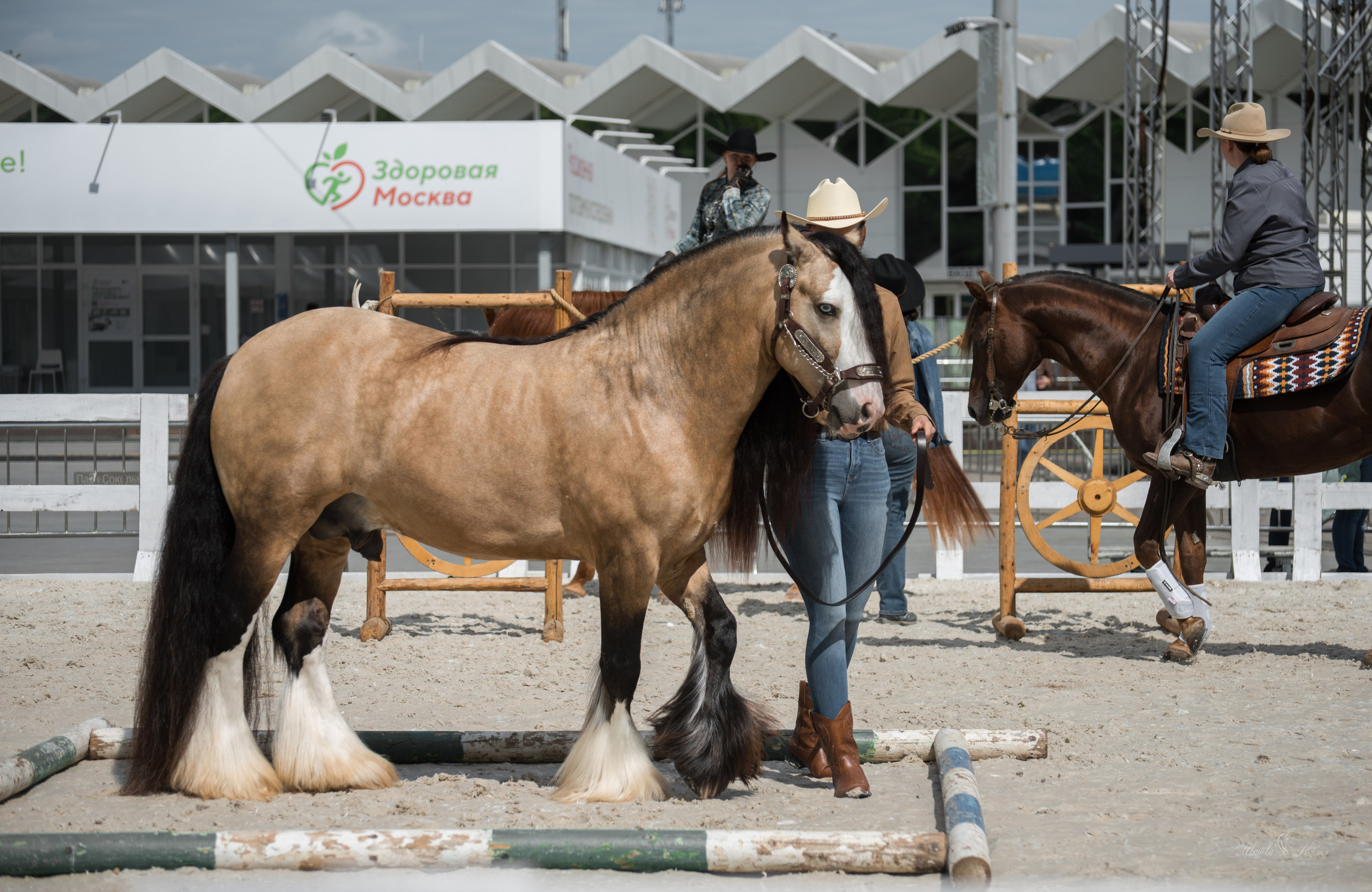 Эквирос, Москва. Конный фотограф в Саратове Юлия Иванова