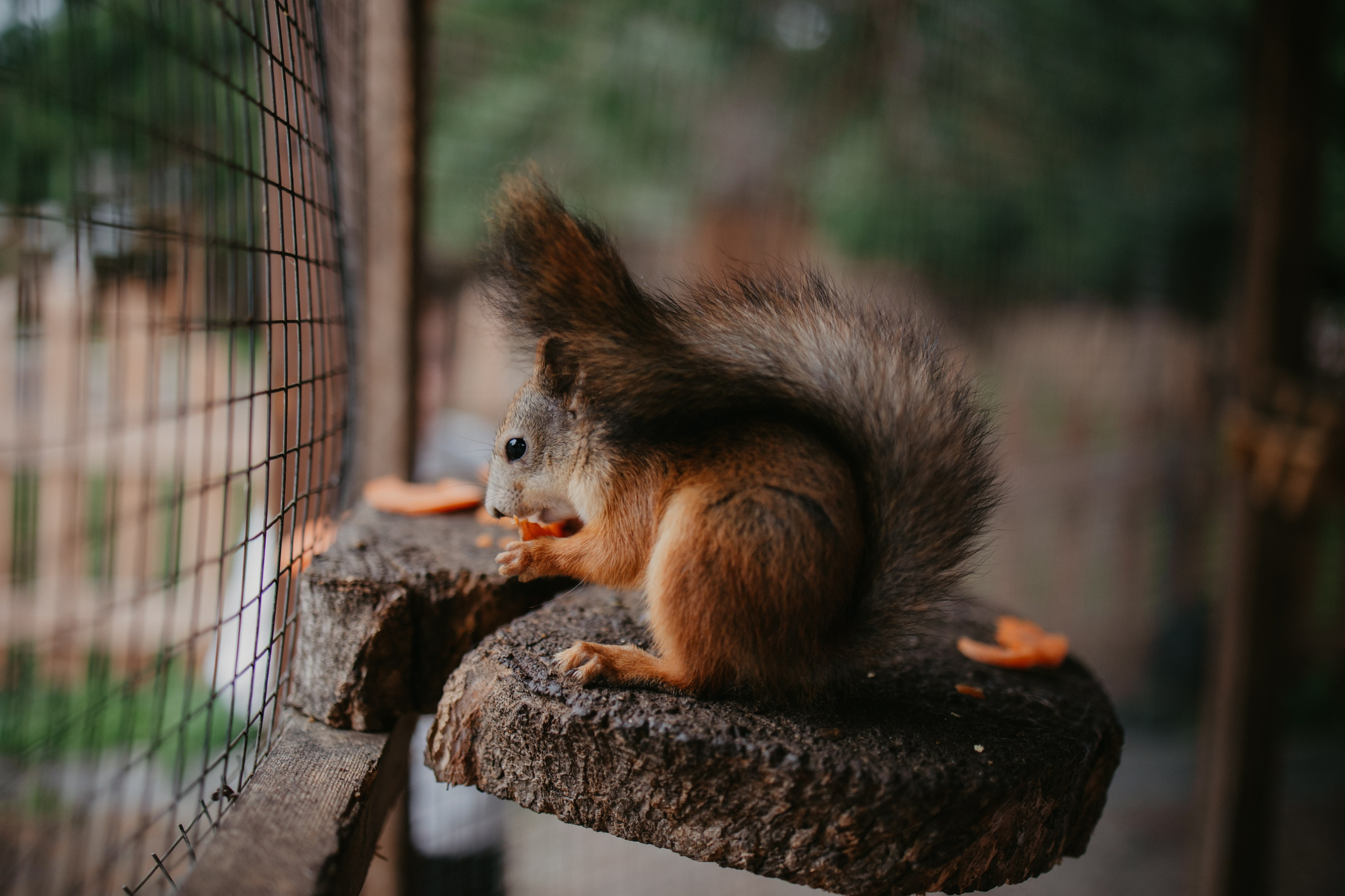 Лера 2 годика. Репортажный и портретный фотограф в Санктпетербурге. Видиосъемка мероприятий в Санкт-Петербурге
