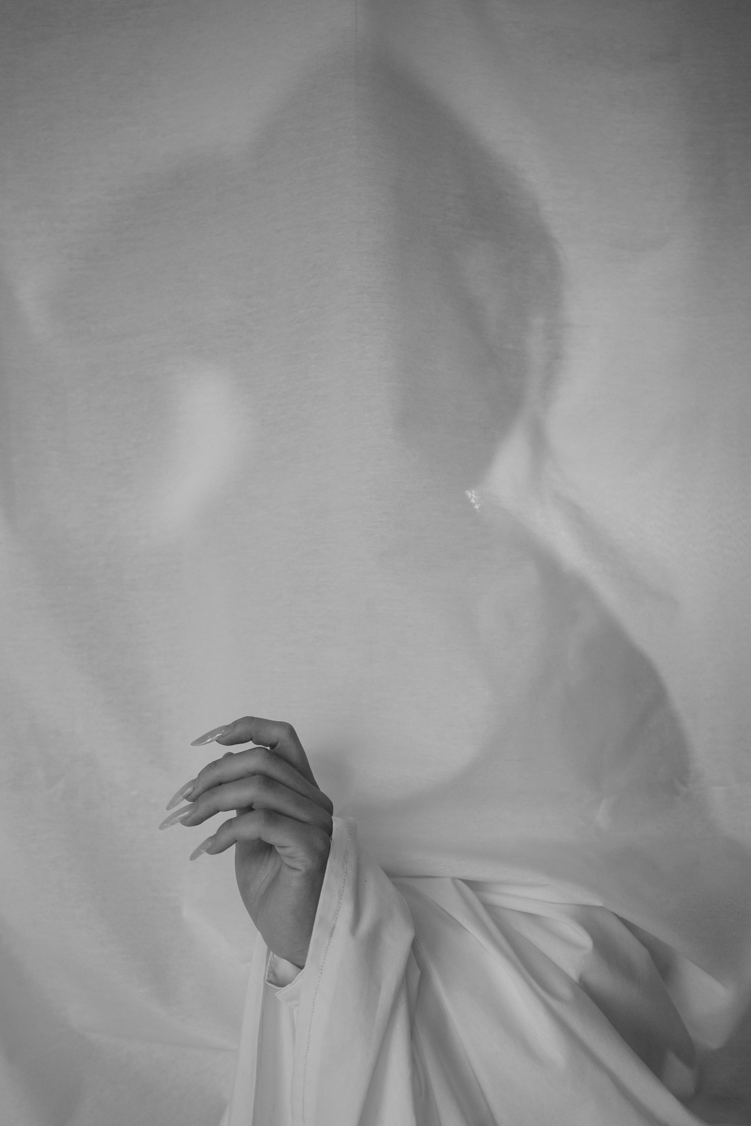 Black and White. Anna Lobanova | Photographer