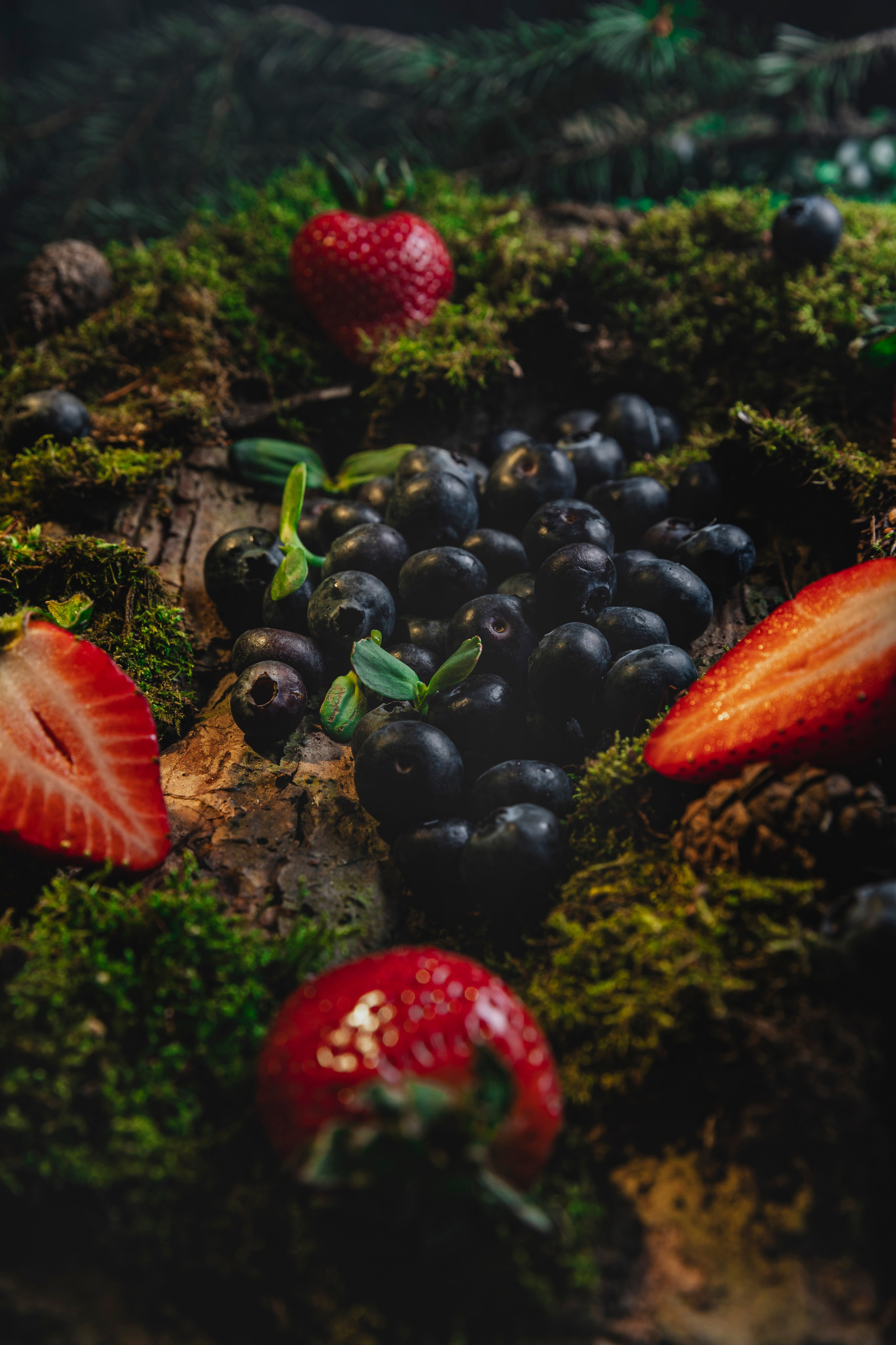 Предметка. Главная