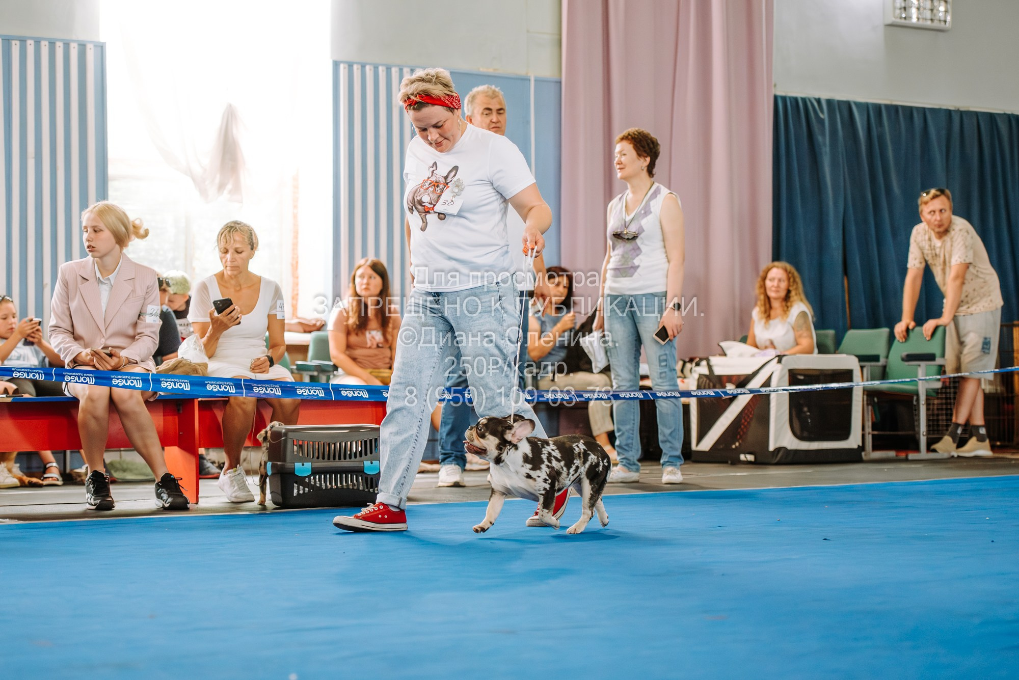 Национальная выставка собак всех пород ранга САС-IKU «Кубок Красноярск. Фотограф Диана Оленина Красноярск / Братск