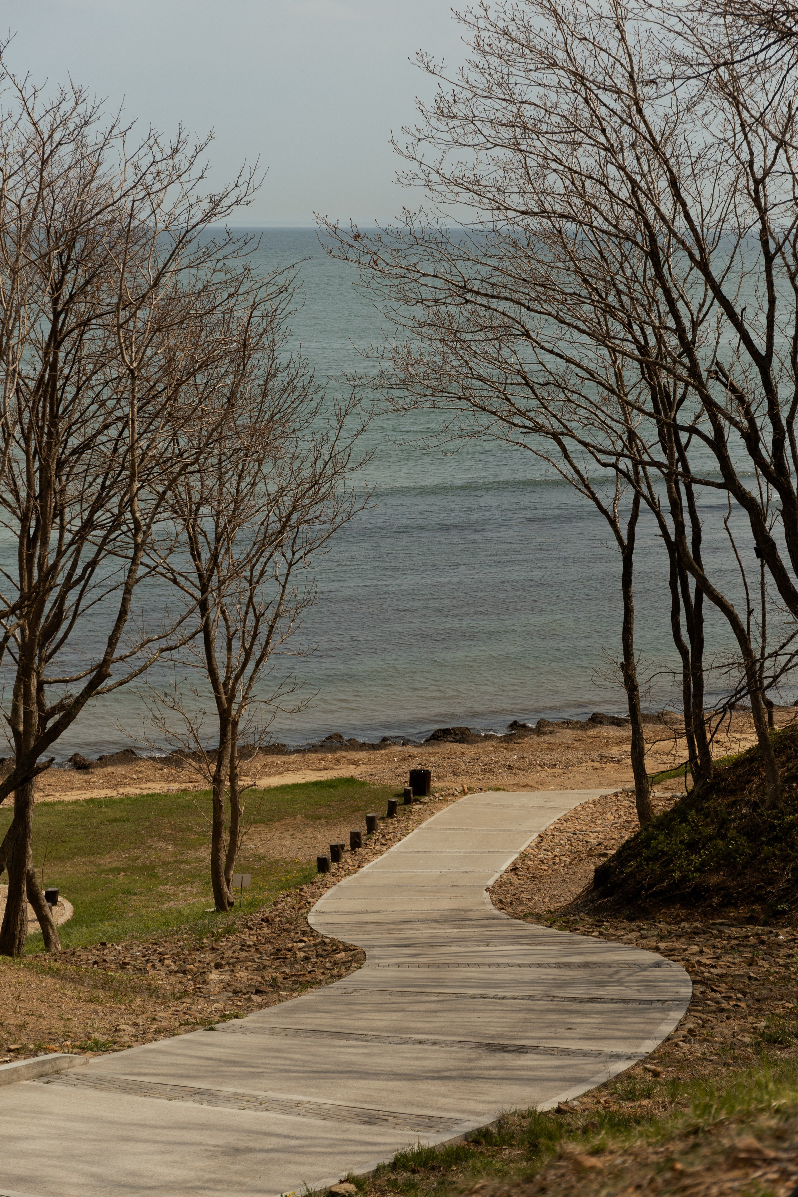 Андрей и Анастасия. Дарья Алейникова фотограф во Владивостоке