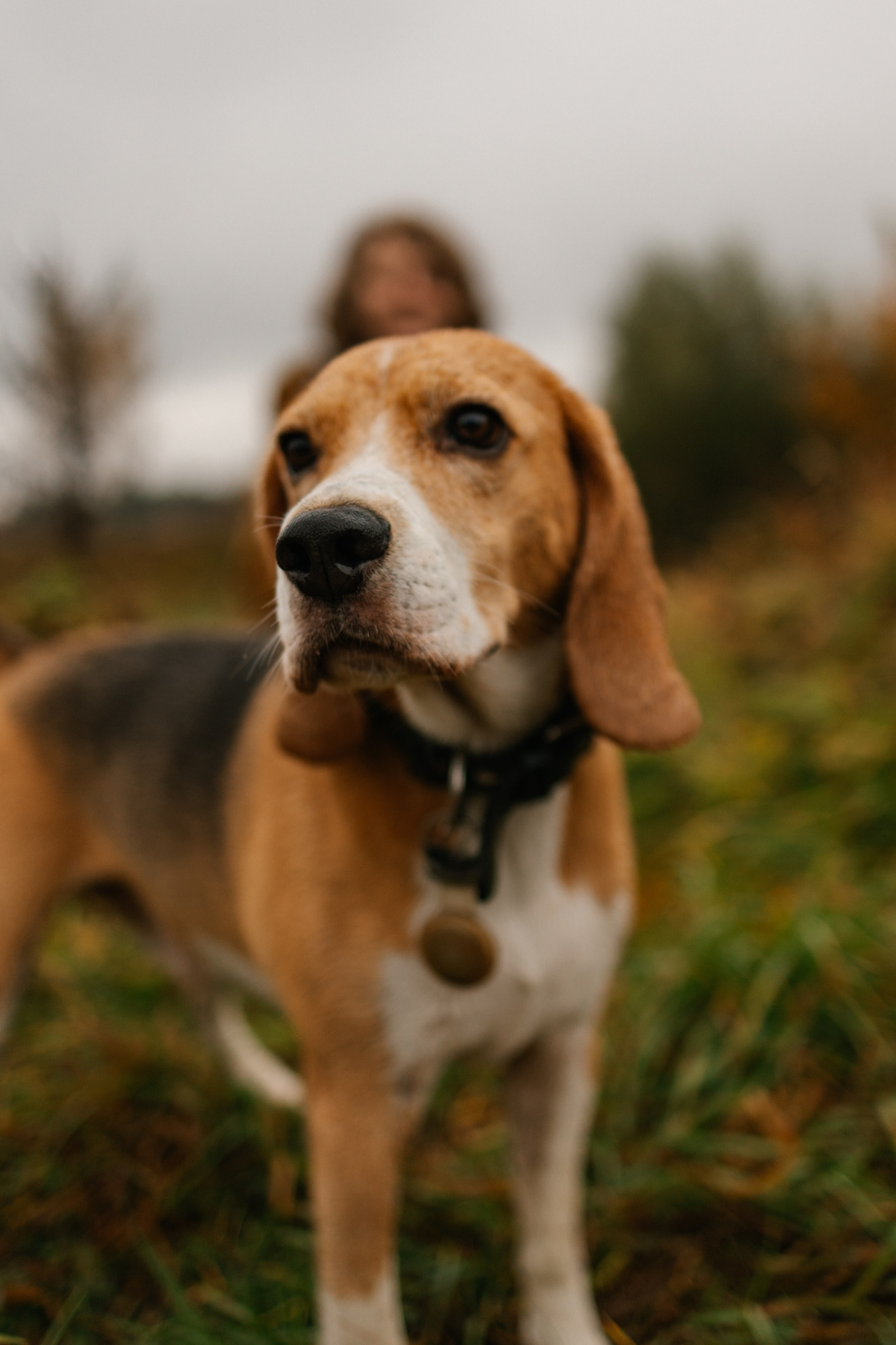 Лена и Тайгер. Фотограф — Анималист | Санкт-Петербург