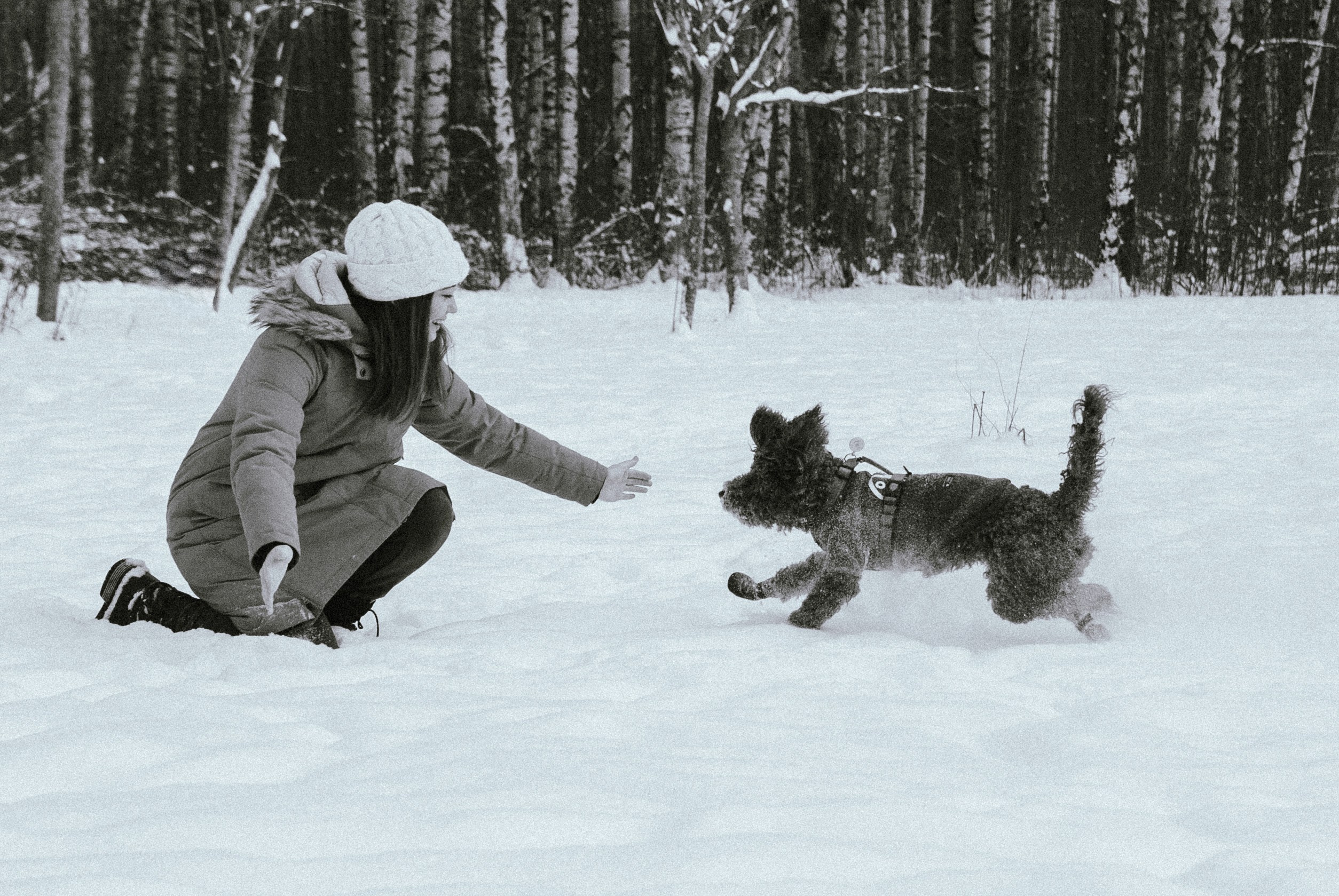 Зоопарк в моём багаже. Кошенкова Мария: портретный и репортажный фотограф. Санкт-Петербург