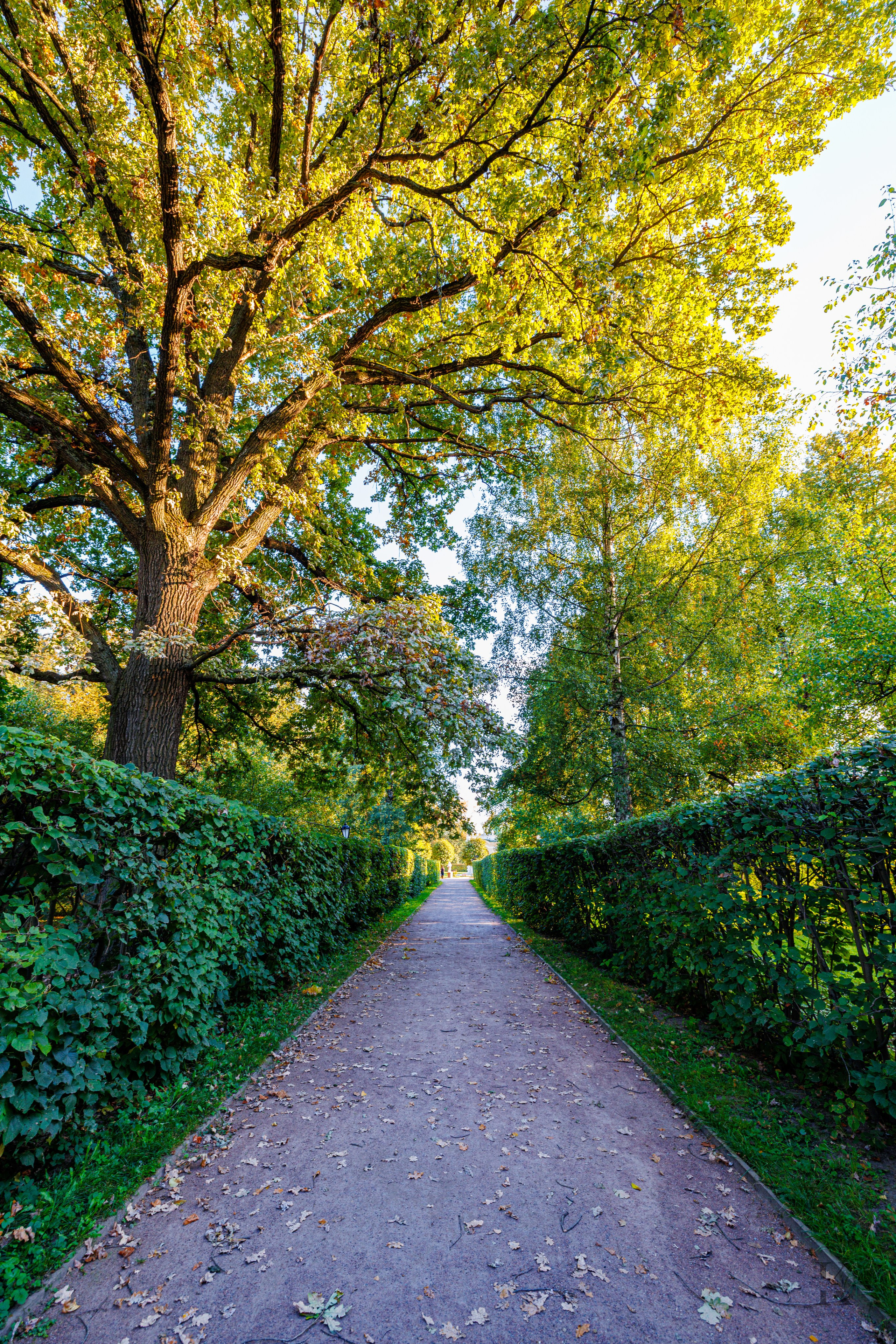 Усадьба Кусково. Осень 2025. Фотографирую жизнь! Московский фотограф волонтер