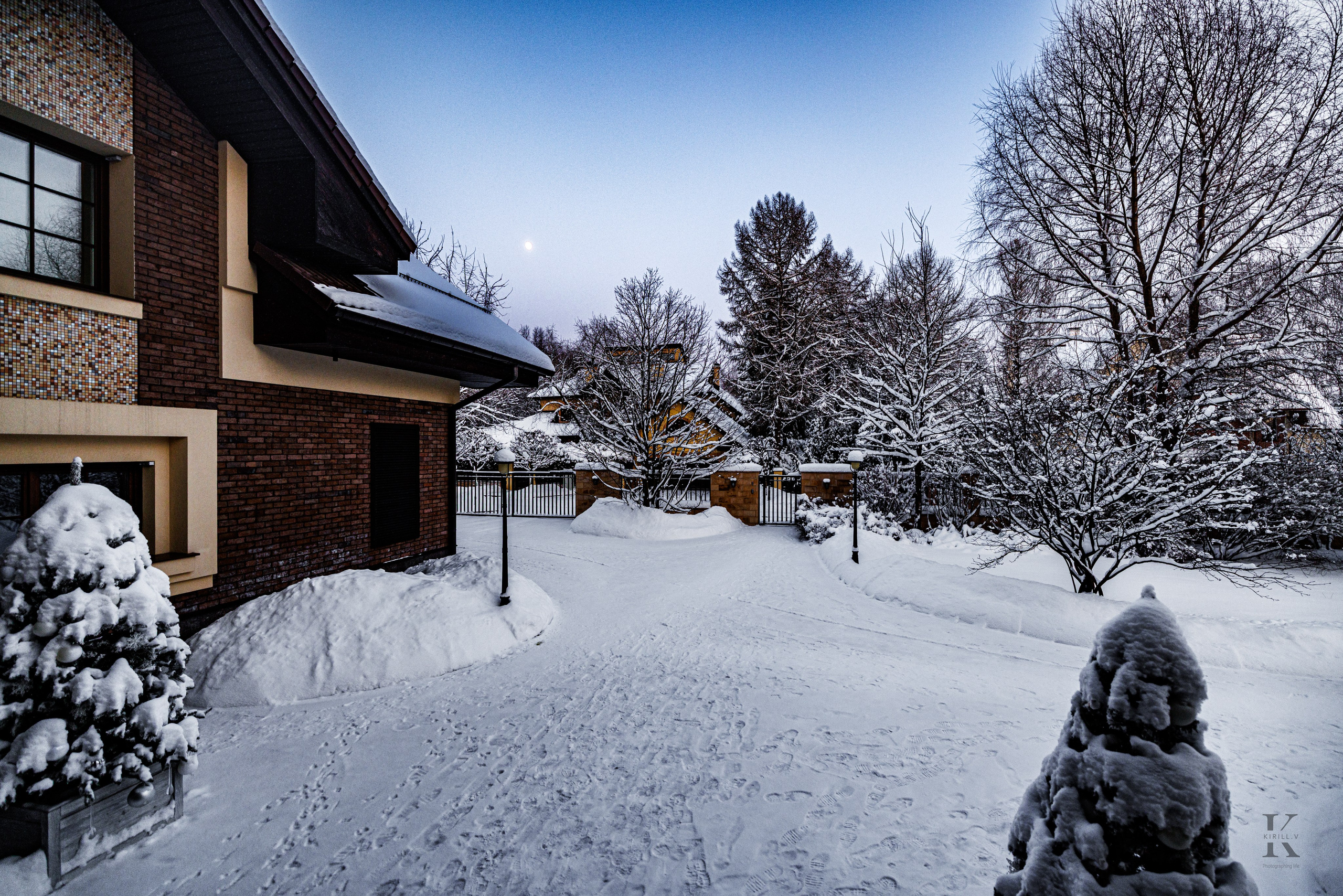 Природа 31 Декабря 2025 года. Клены. Фотографирую жизнь! Московский фотограф волонтер