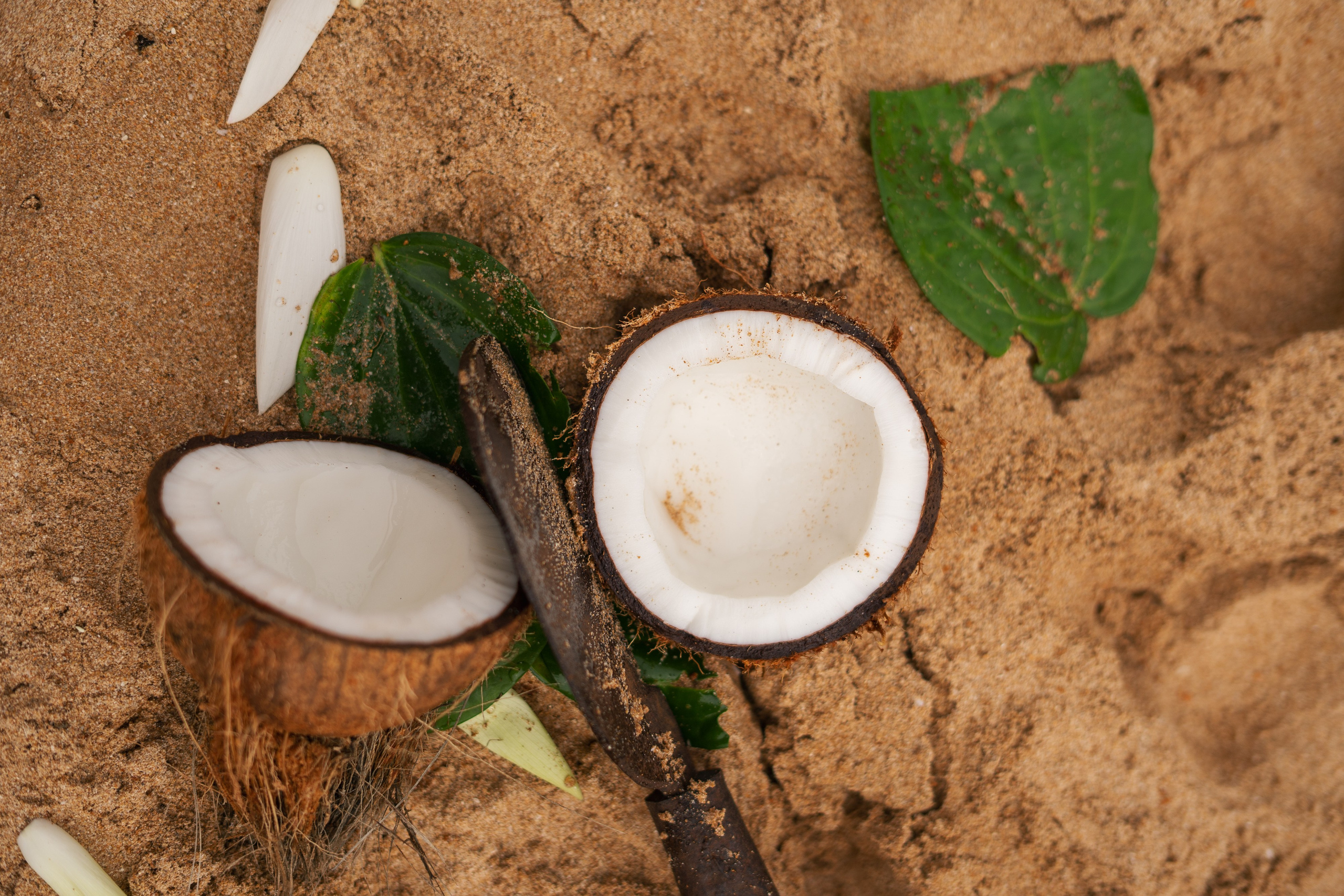 Nikita & Anna Wedding Day in Bentota Club Hotel