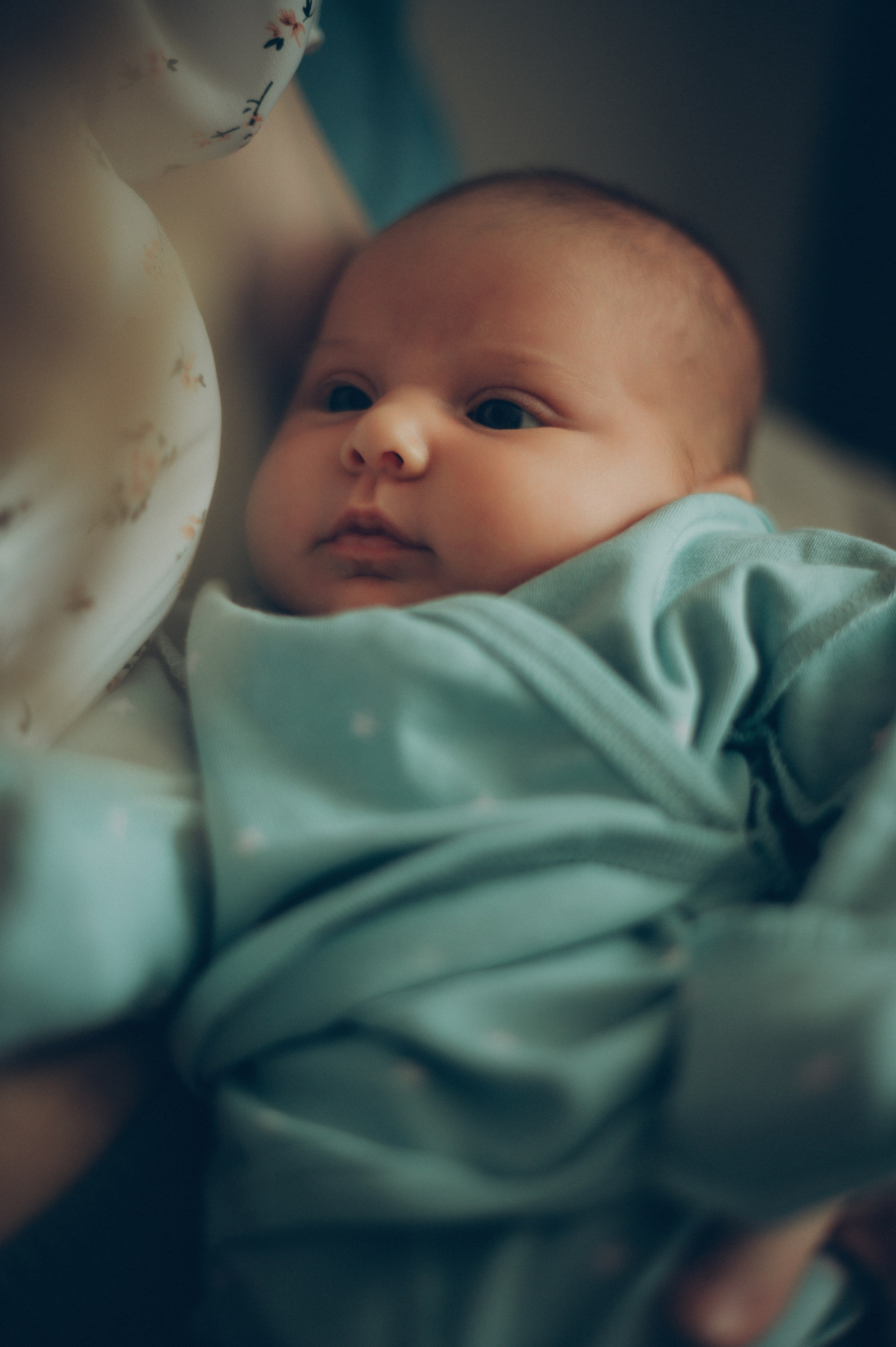 Ева, Алена и Вадим (домашняя). Фотограф, г. Лесной Свердловской области