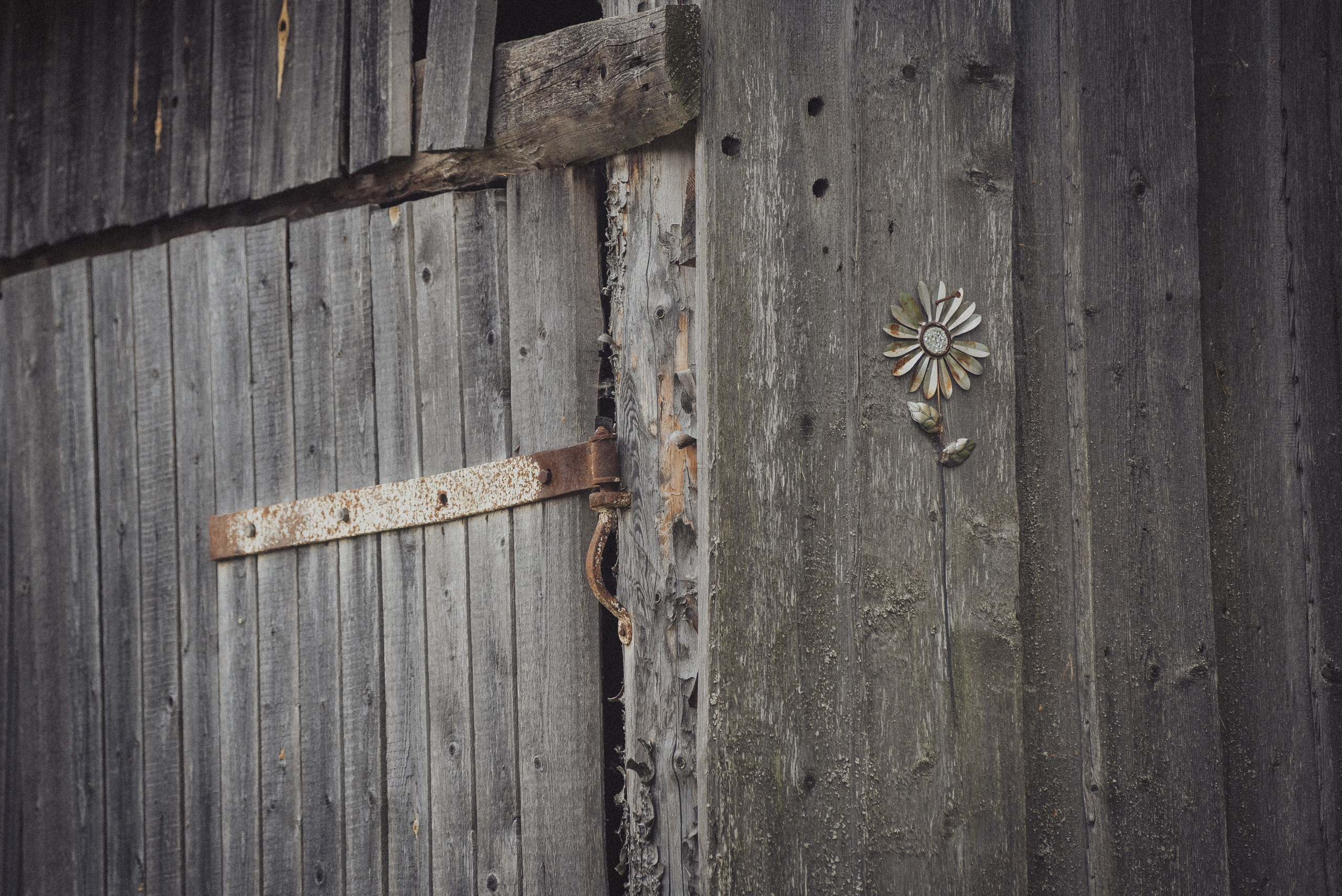 Серия фотографий «Пиежма» (2024). Документальный фотограф Илья Тихановский