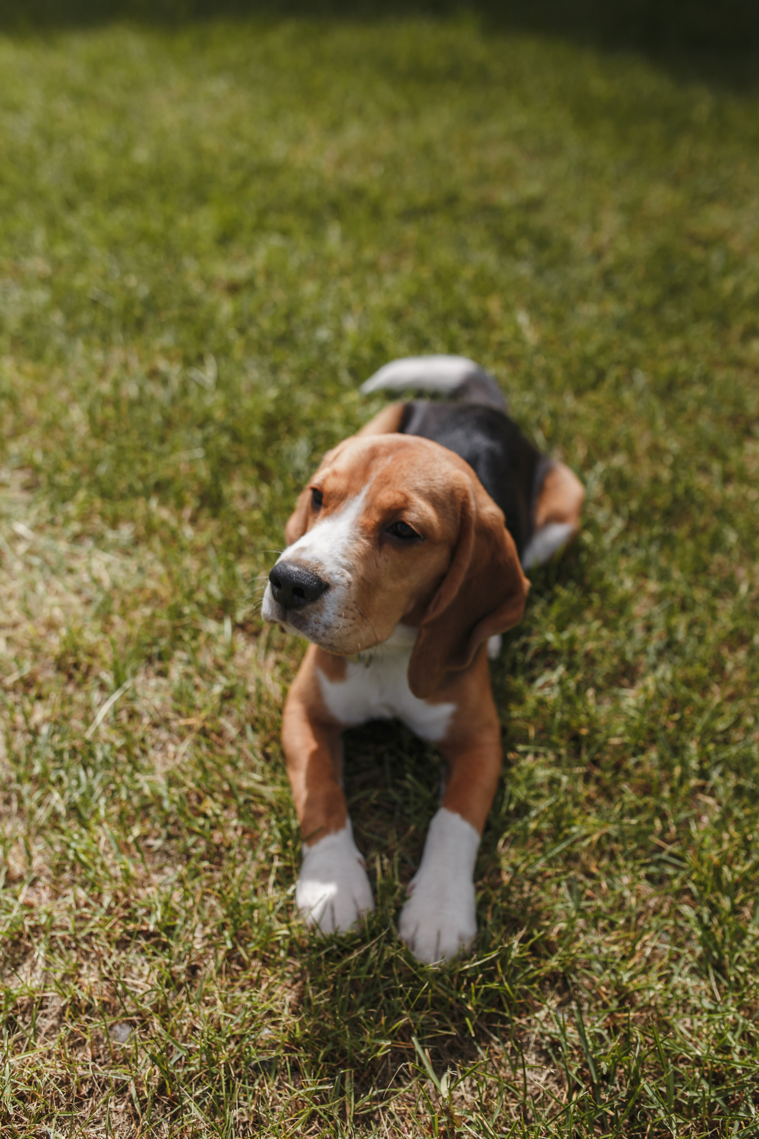 KATE&SLAVA. Анастасия Вайнер — свадебный и портретный фотограф в Германии и по всей Европе
