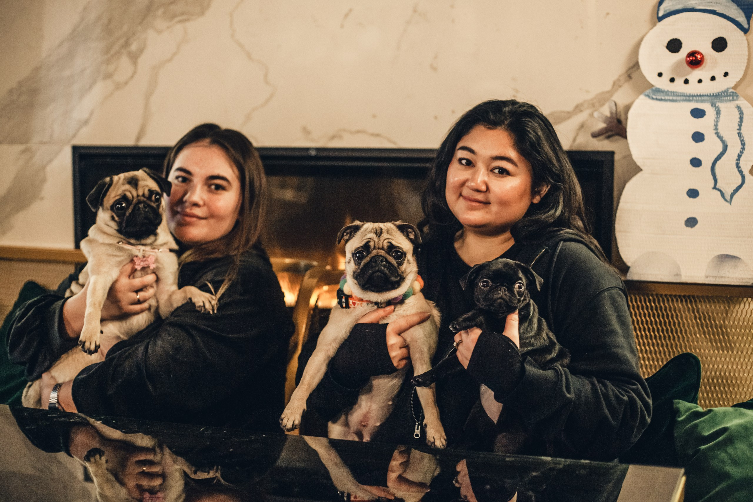 Мопсовстреча 02.12.2023. Фотограф-анималист Татьяна Степанова