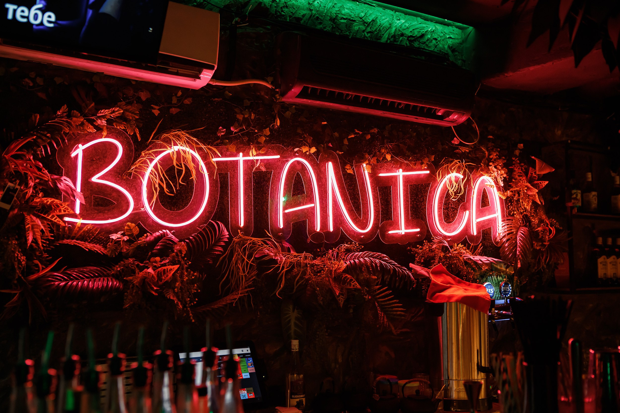 Botanica. Кипятком Павлодар