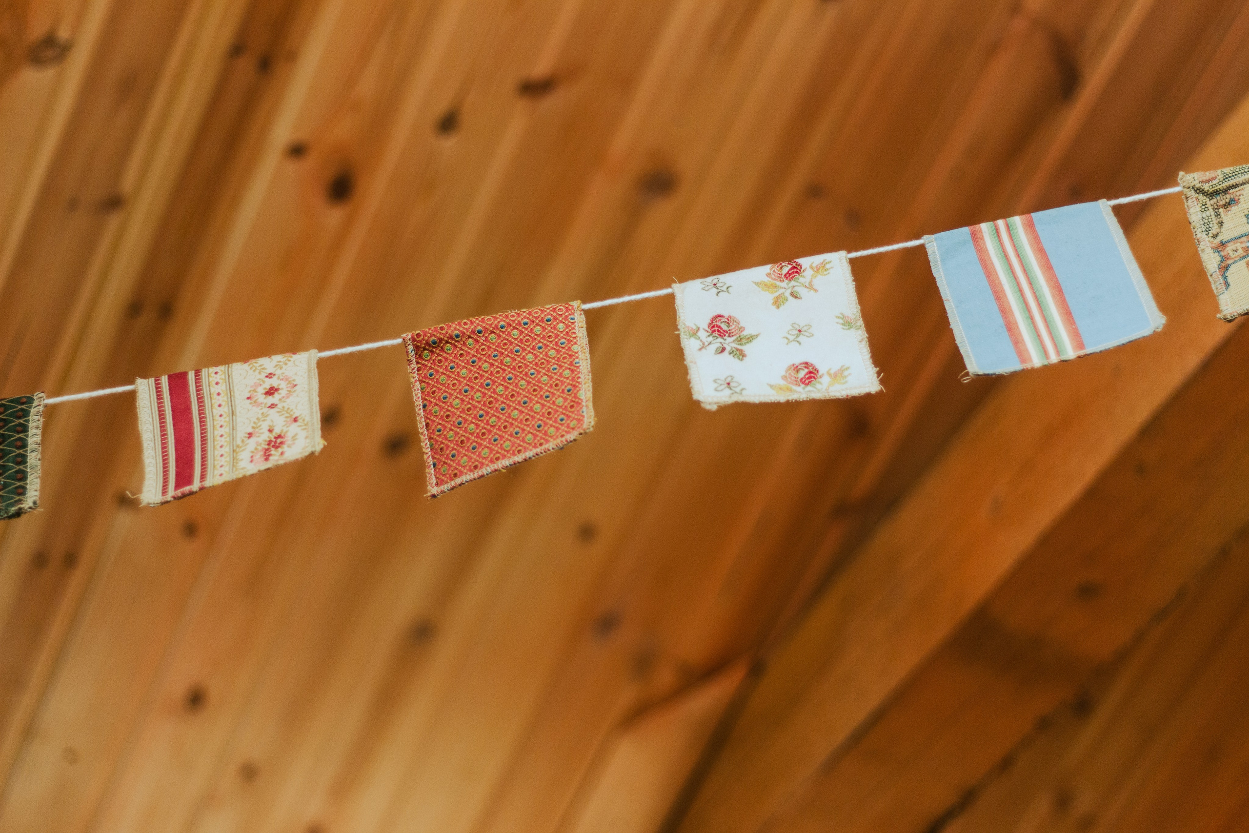 Вечорка. Мария Колесникова