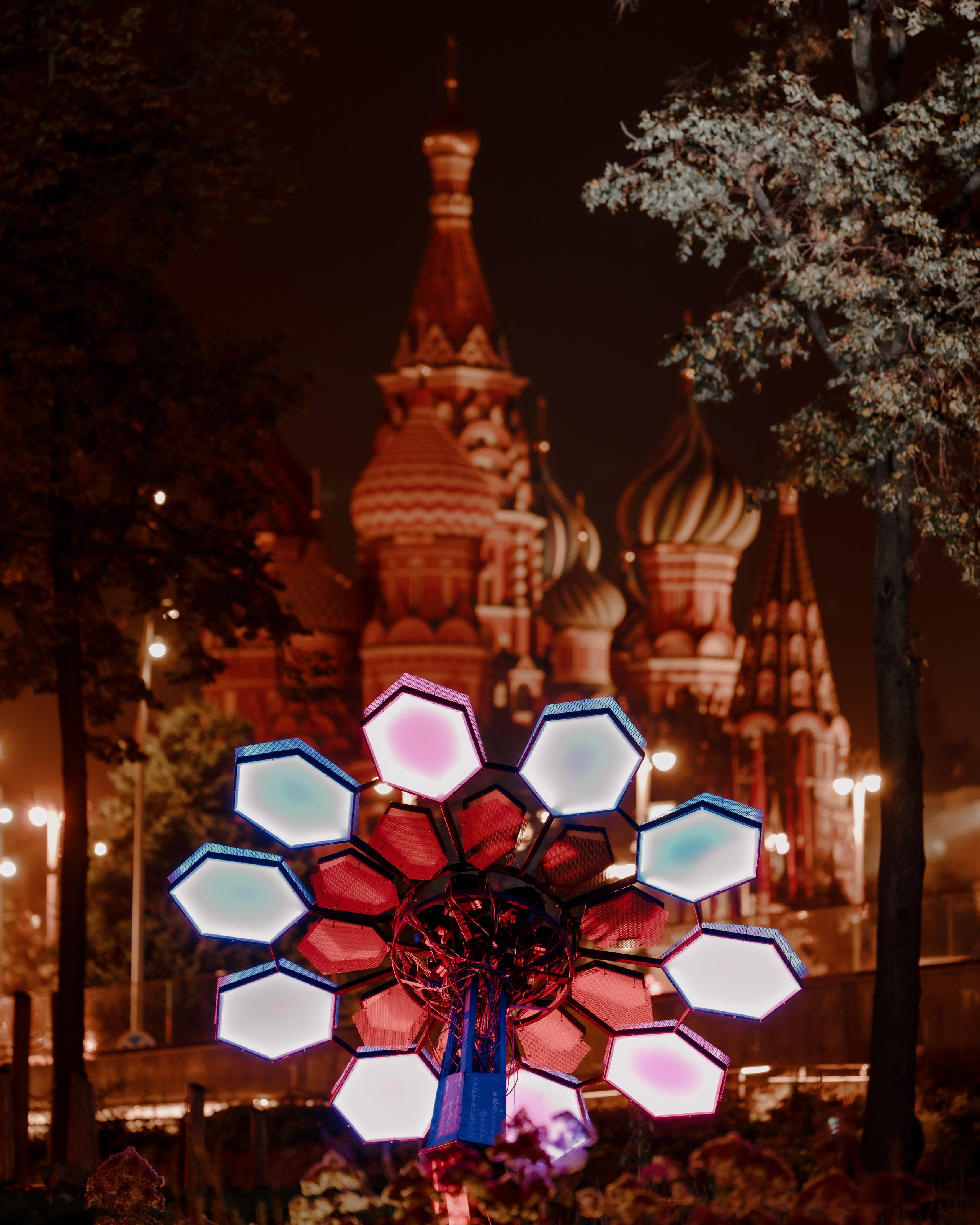 PANTERRA, Cyber Flower. @tomrus: Рустам Шагиморданов — фотограф