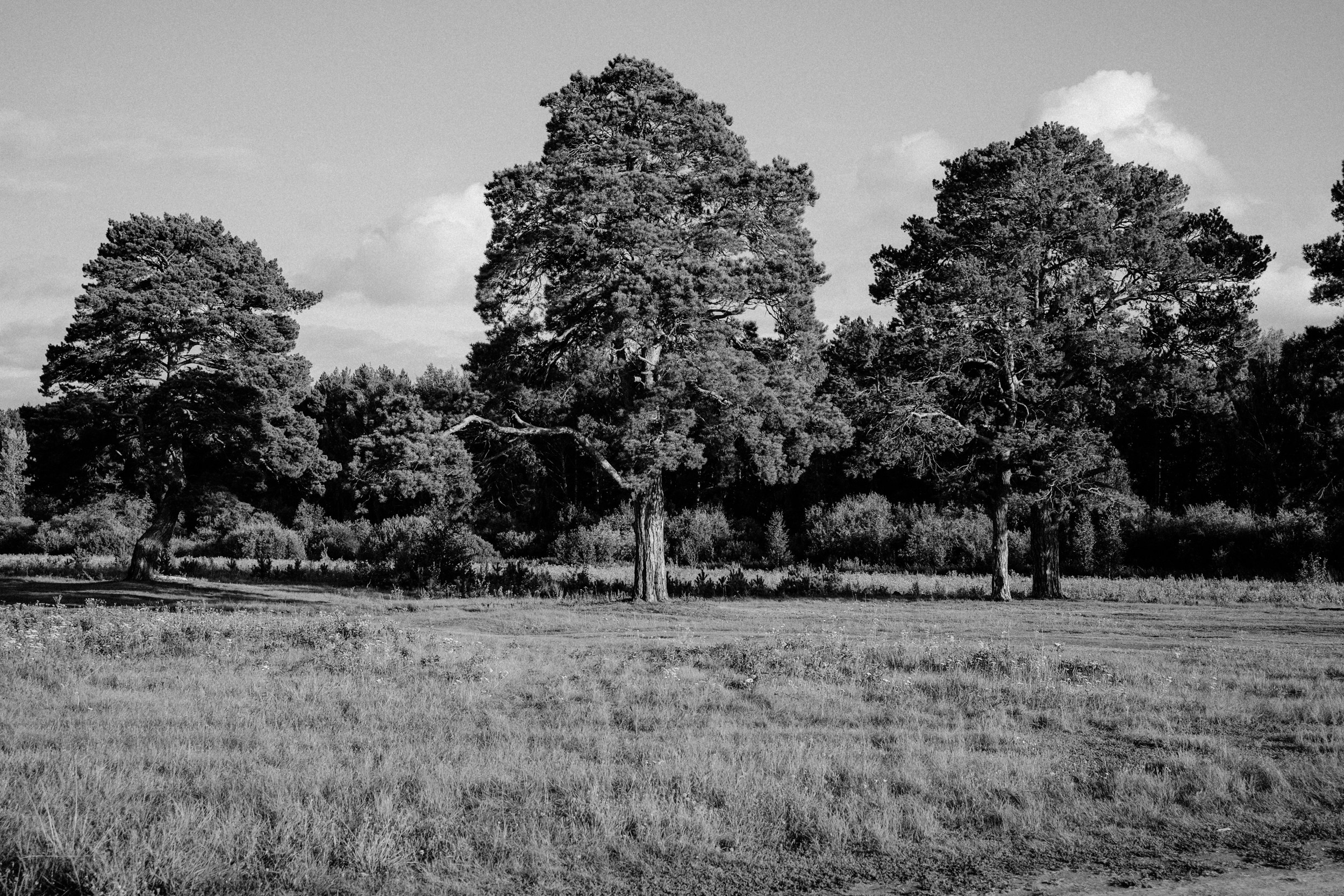 Екатерина. Фотограф Дарья Мустафина, Тюмень