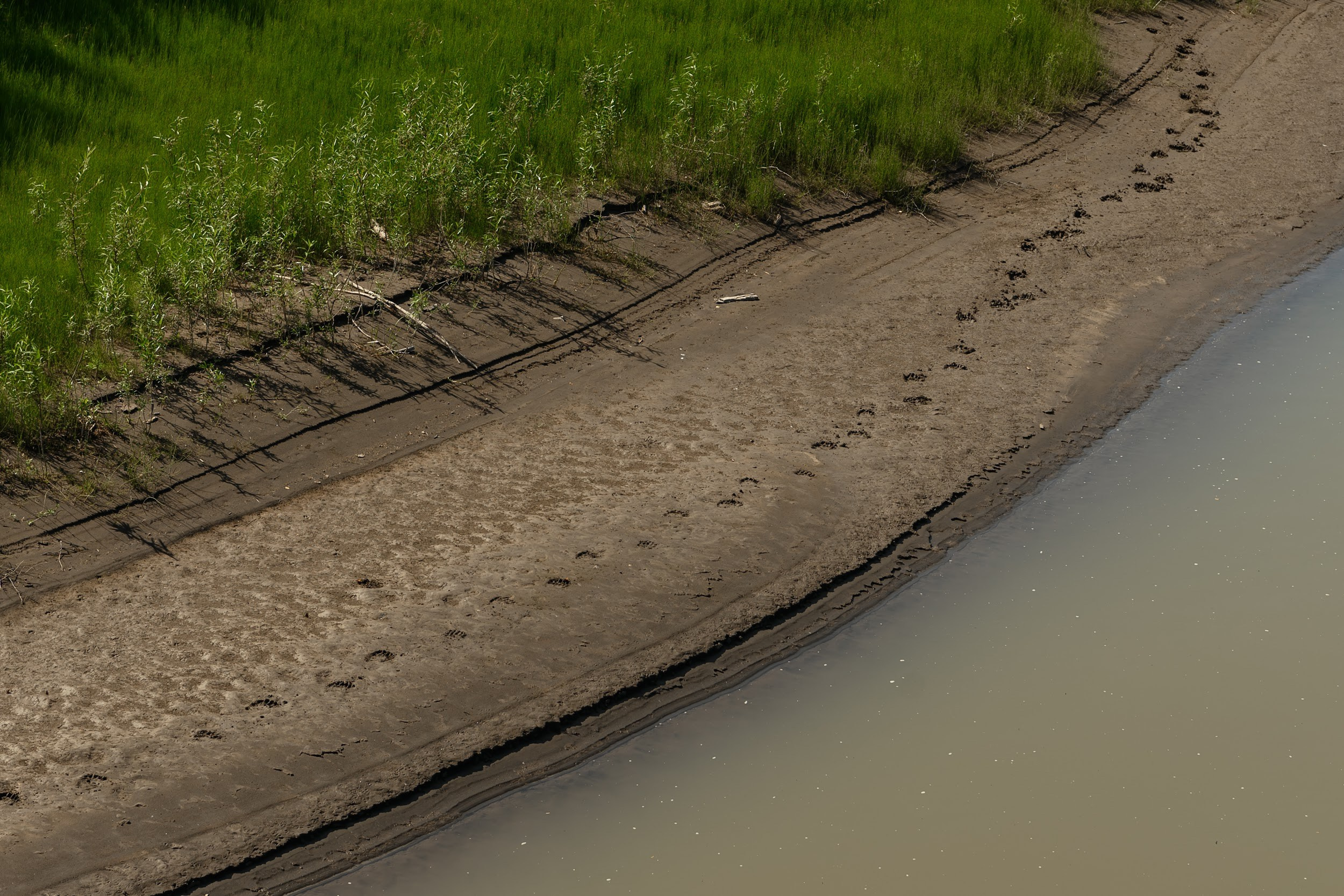 Камчатка 08.2024. Фотограф Марина Росси