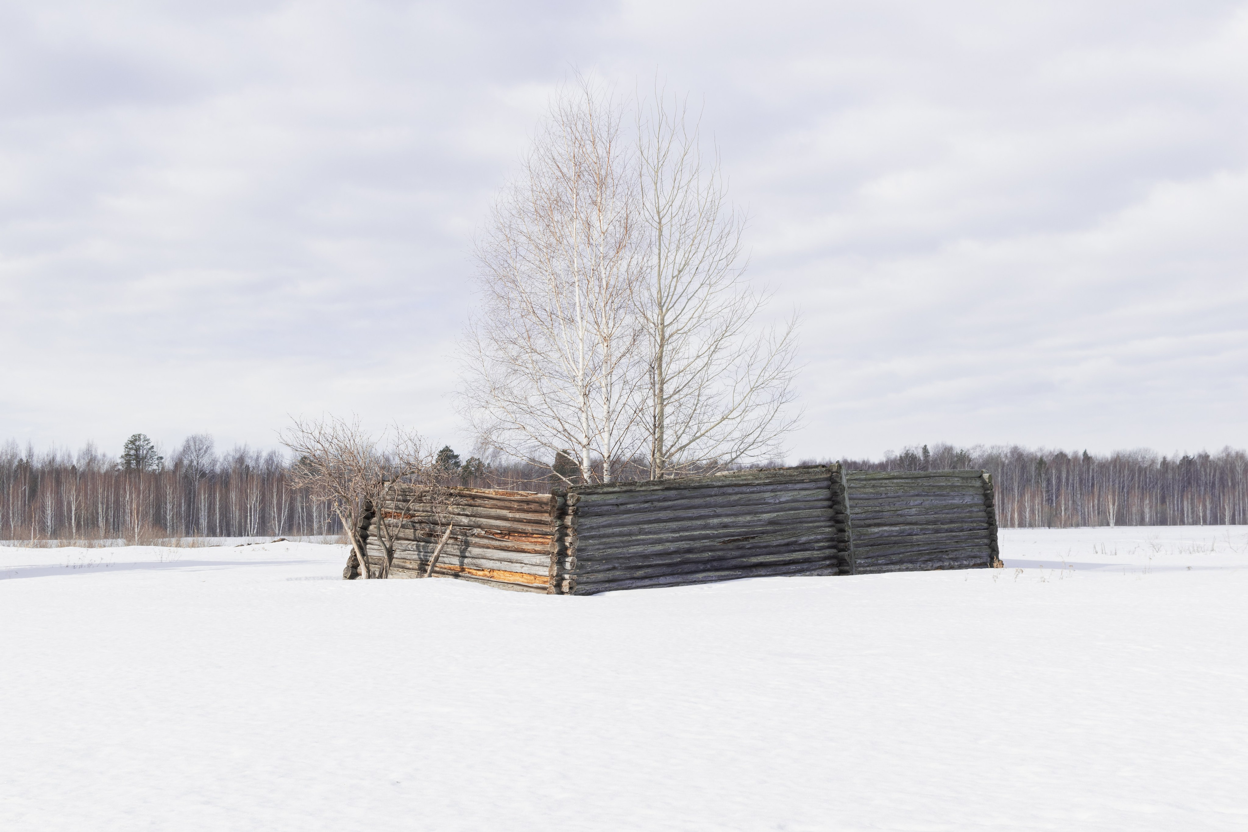 Здесь песни больше не слышны. Katya Medvedeva