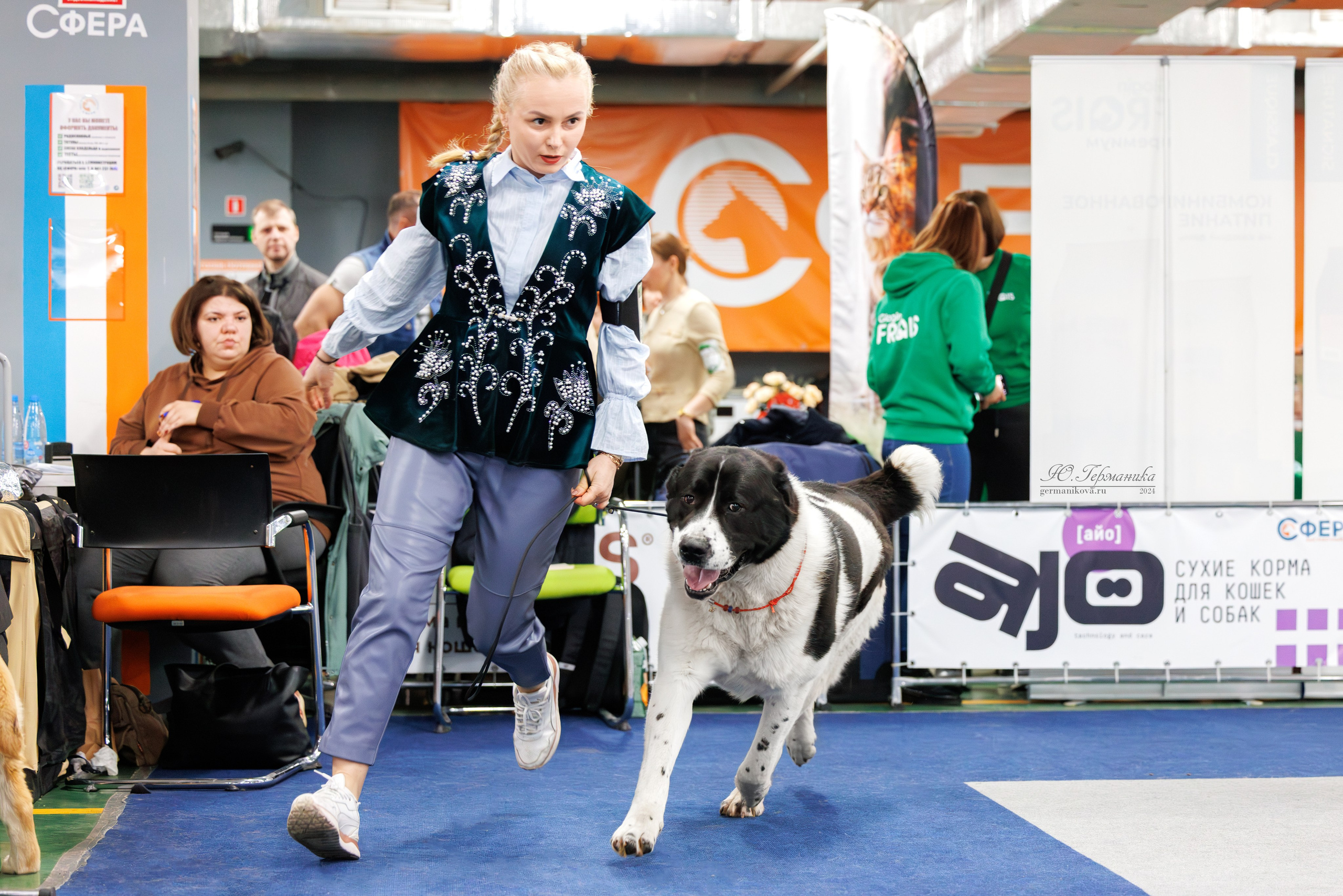 Сфера и Крокус 8,9,16 и 30.03.2025. Фотограф-анималист Юлия Германика