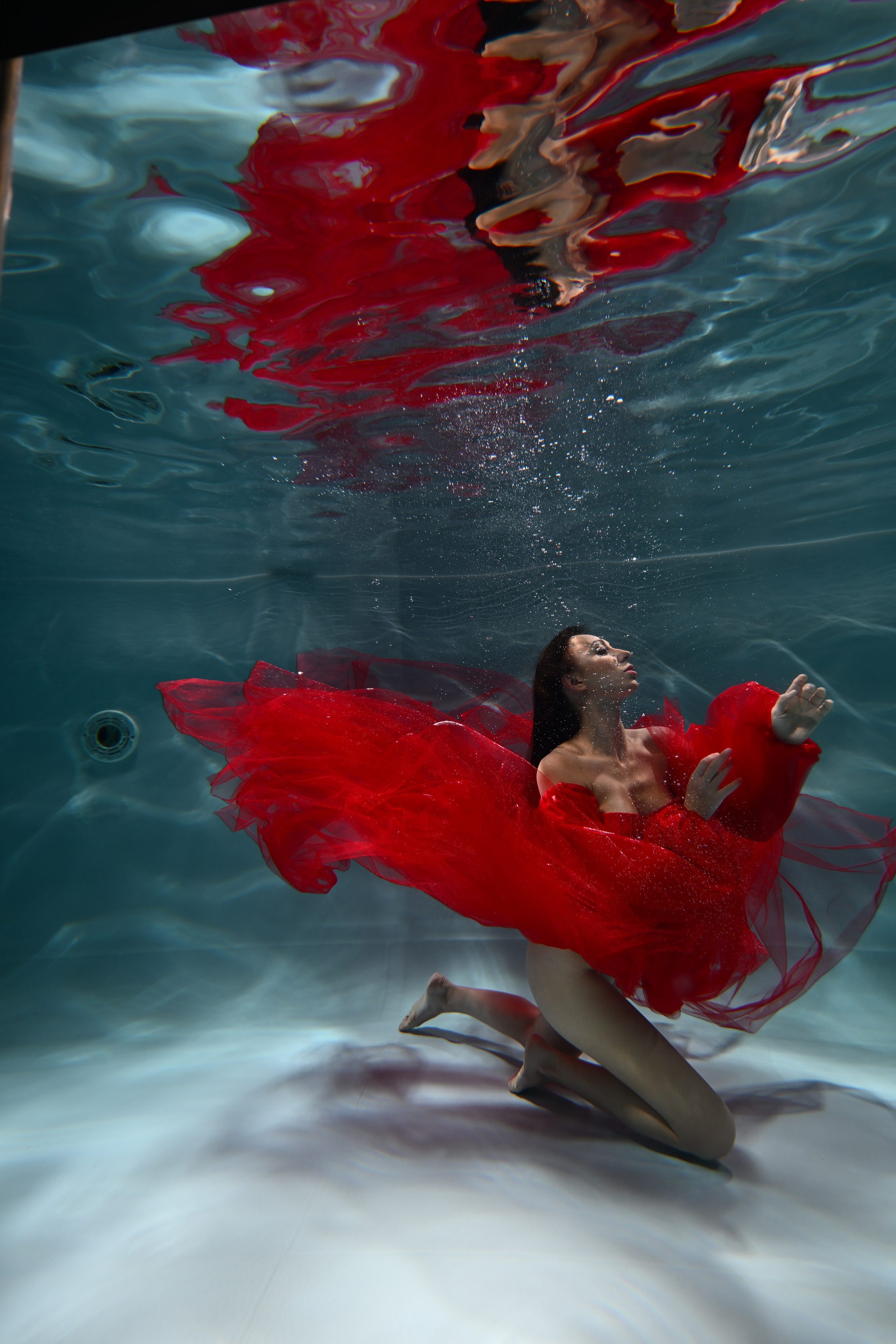 Аква студия НЕМО. Фотограф в Санкт-Петербурге Сафронов Николай