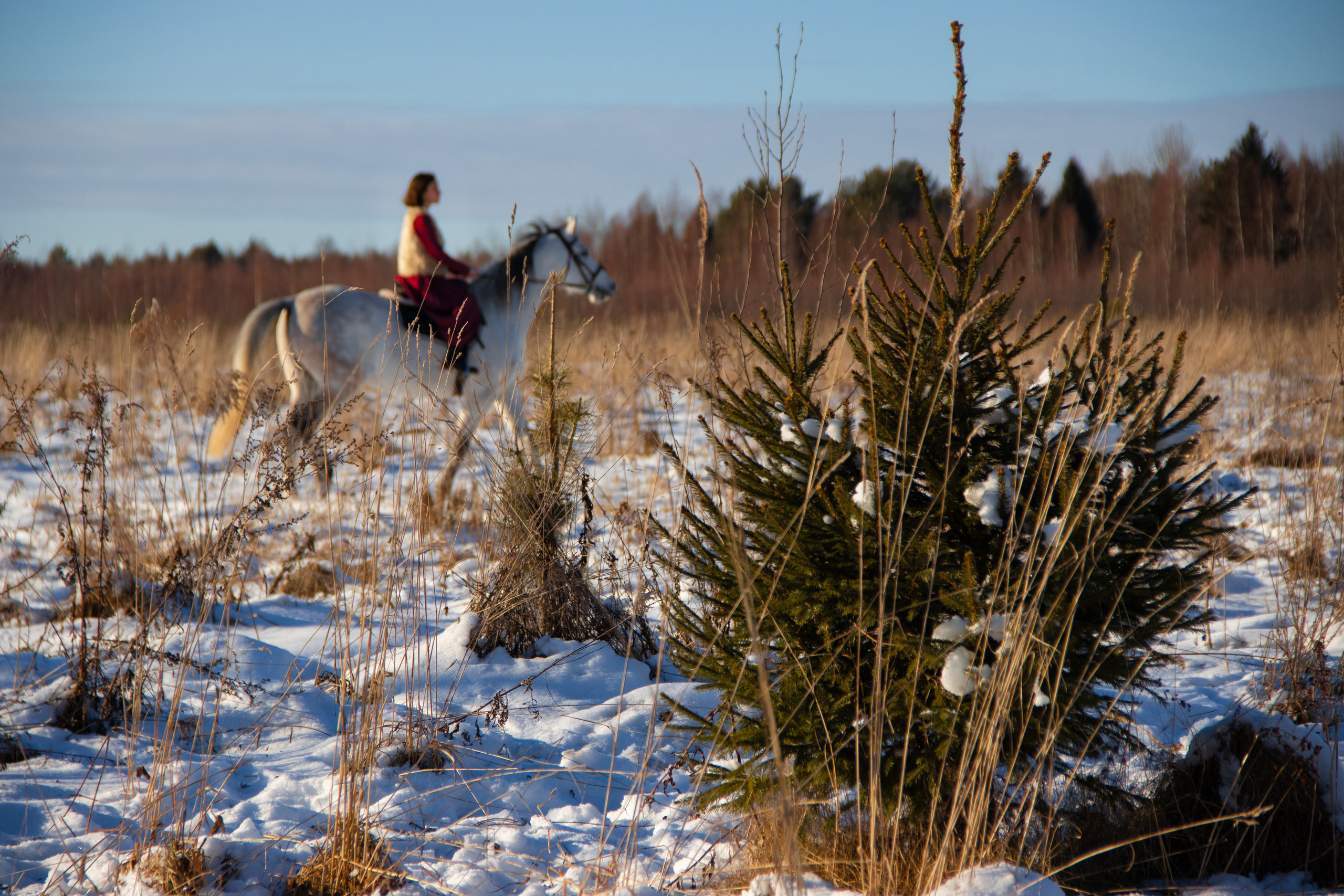 Юная красавица на коне. Фотограф в Москве Юлия Карпова