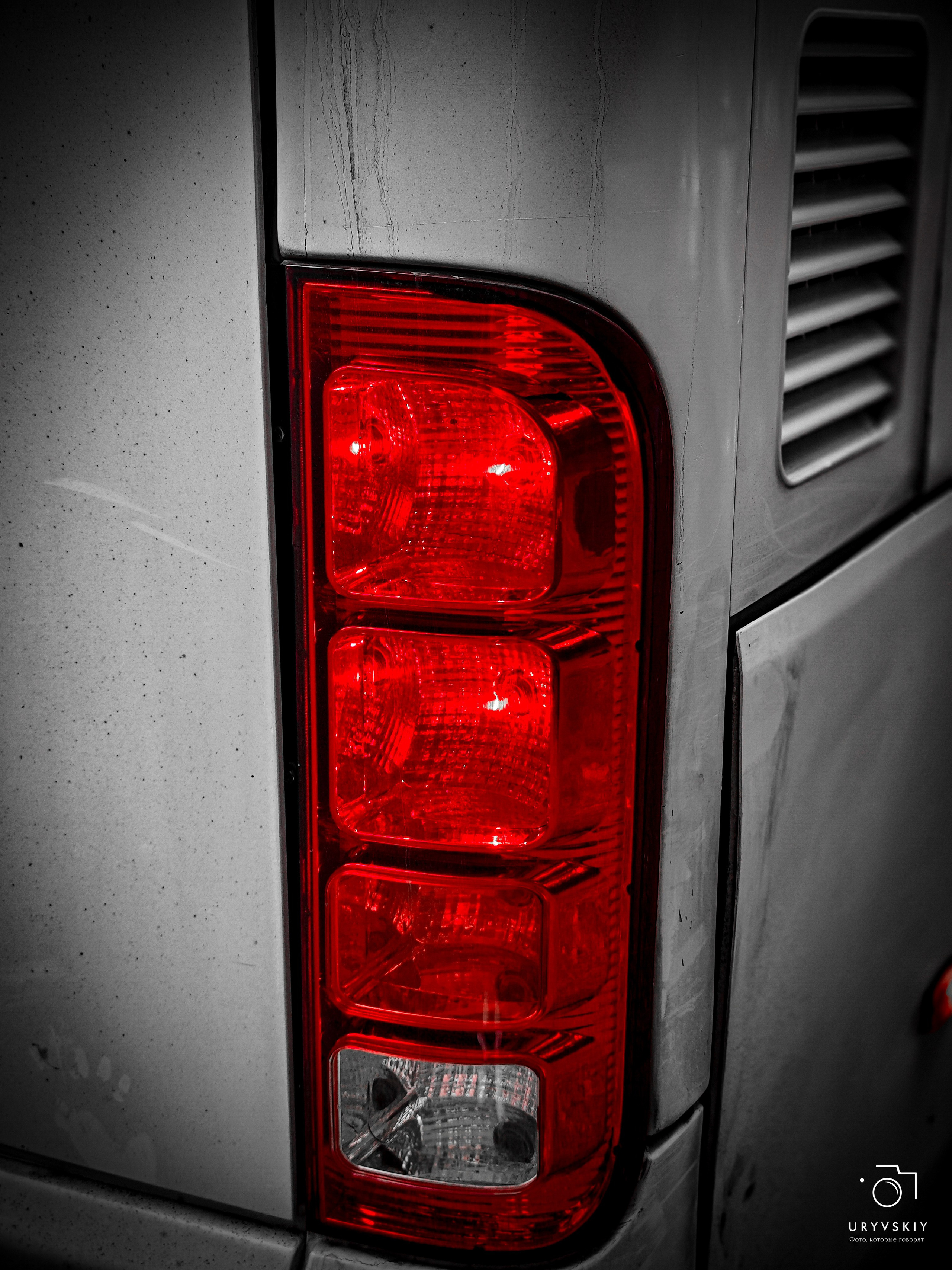 Командор, Хороший. День торговли 2025. Игорь Урывский. Фотограф Красноярск