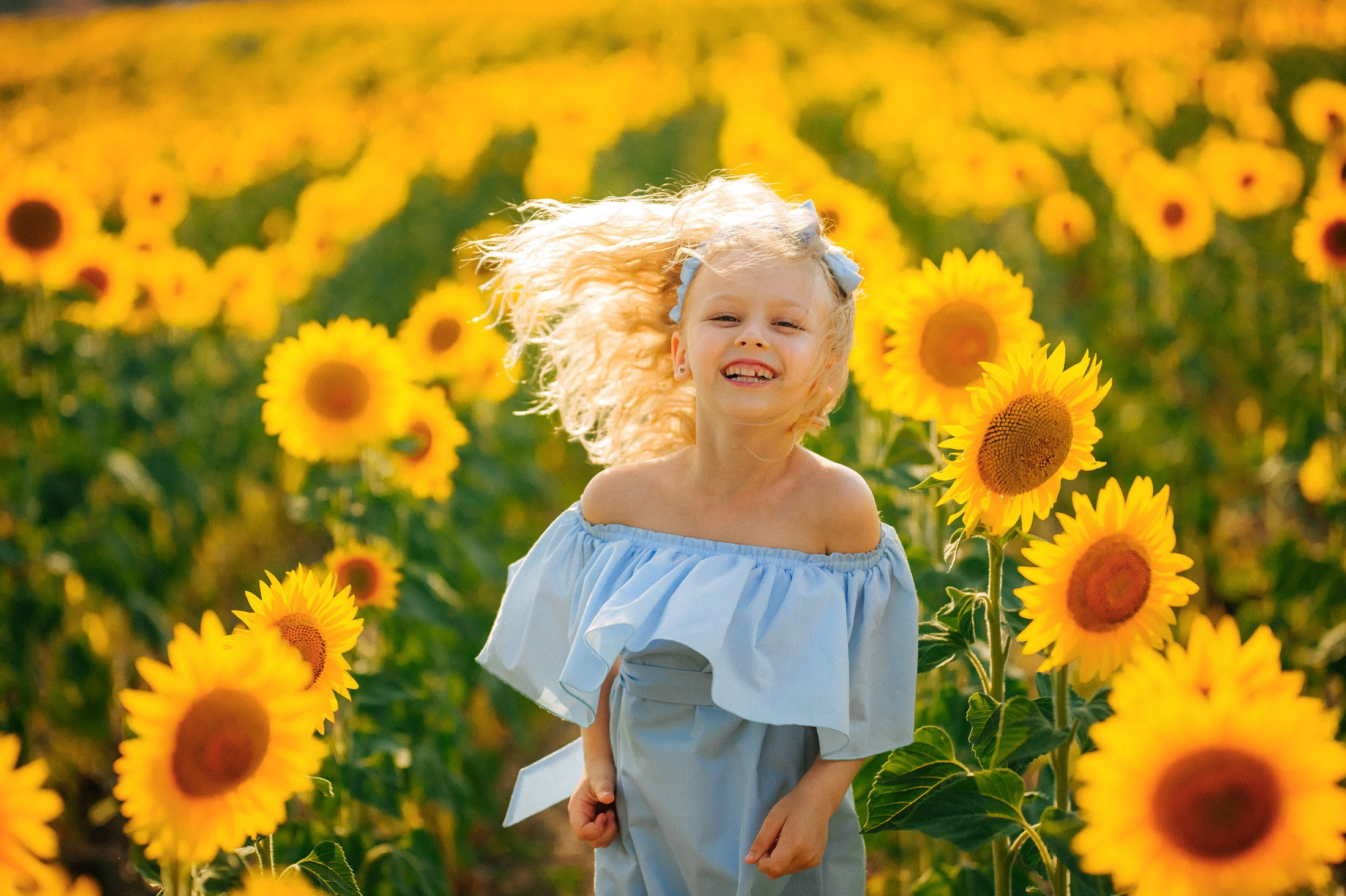 Подсолнухи!. Семейный, детский, свадебный, фотограф в городе Анапа