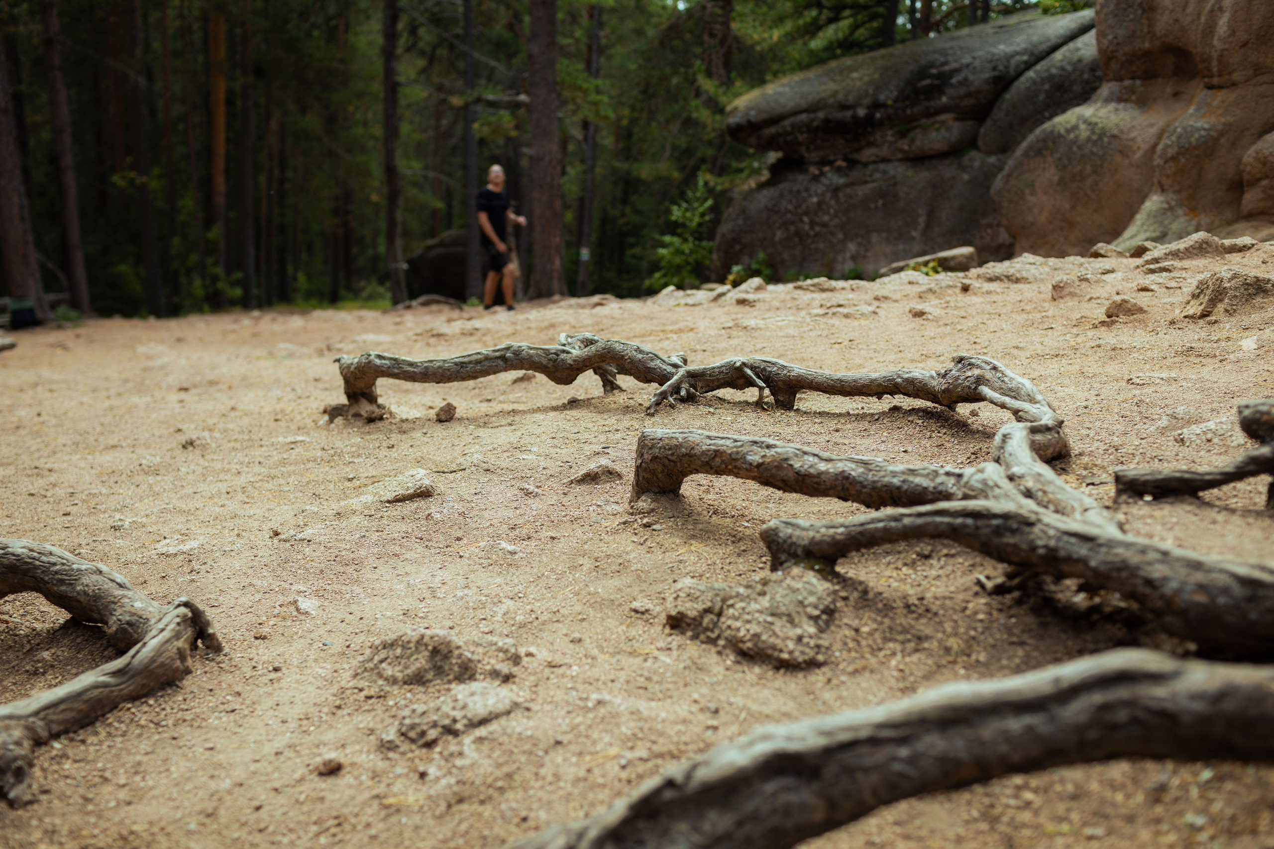 Красноярск (осень 2023). Фотограф Виноградов Константин