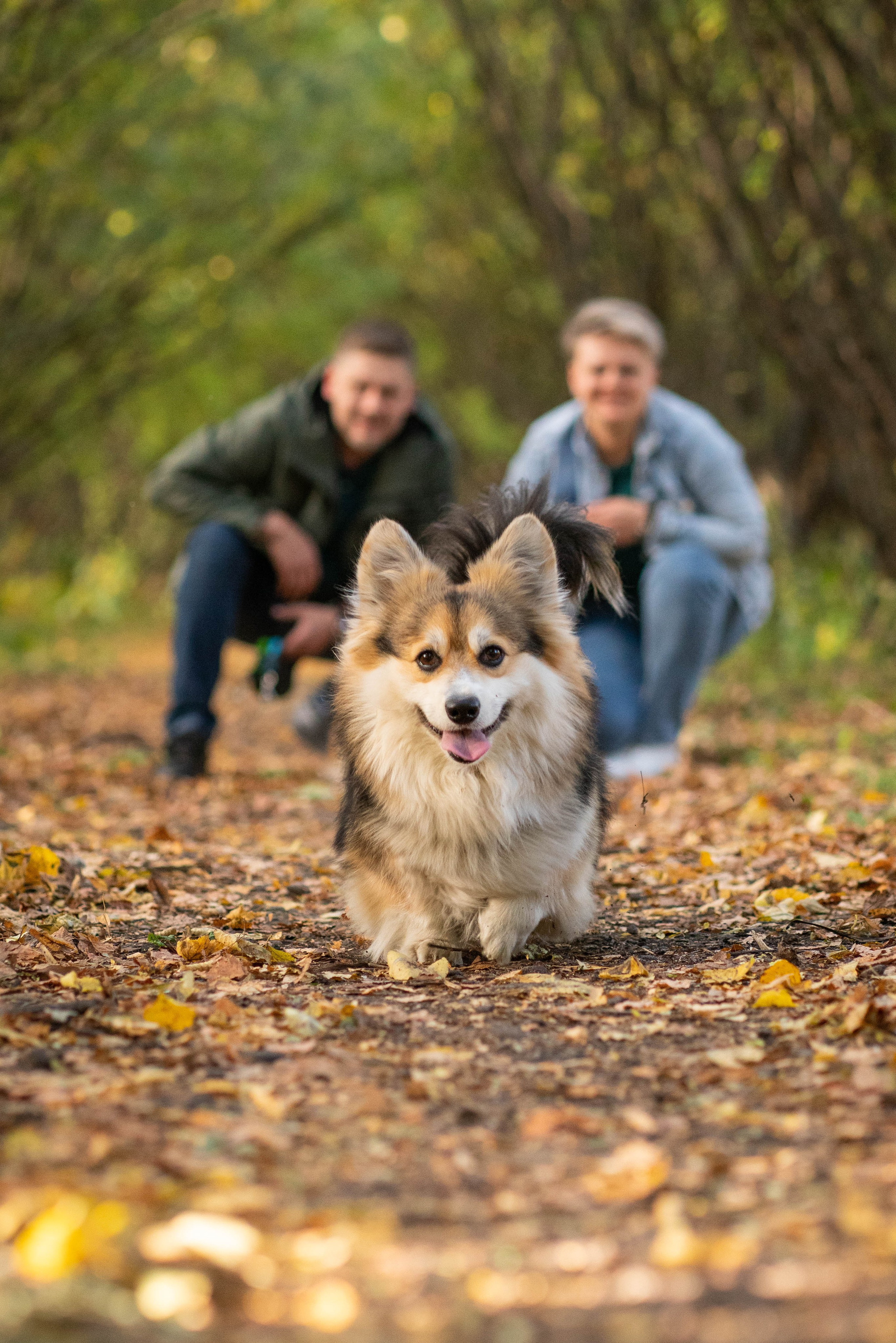 Съёмки с животными. Фотограф Светлана Кошелева (Москва)