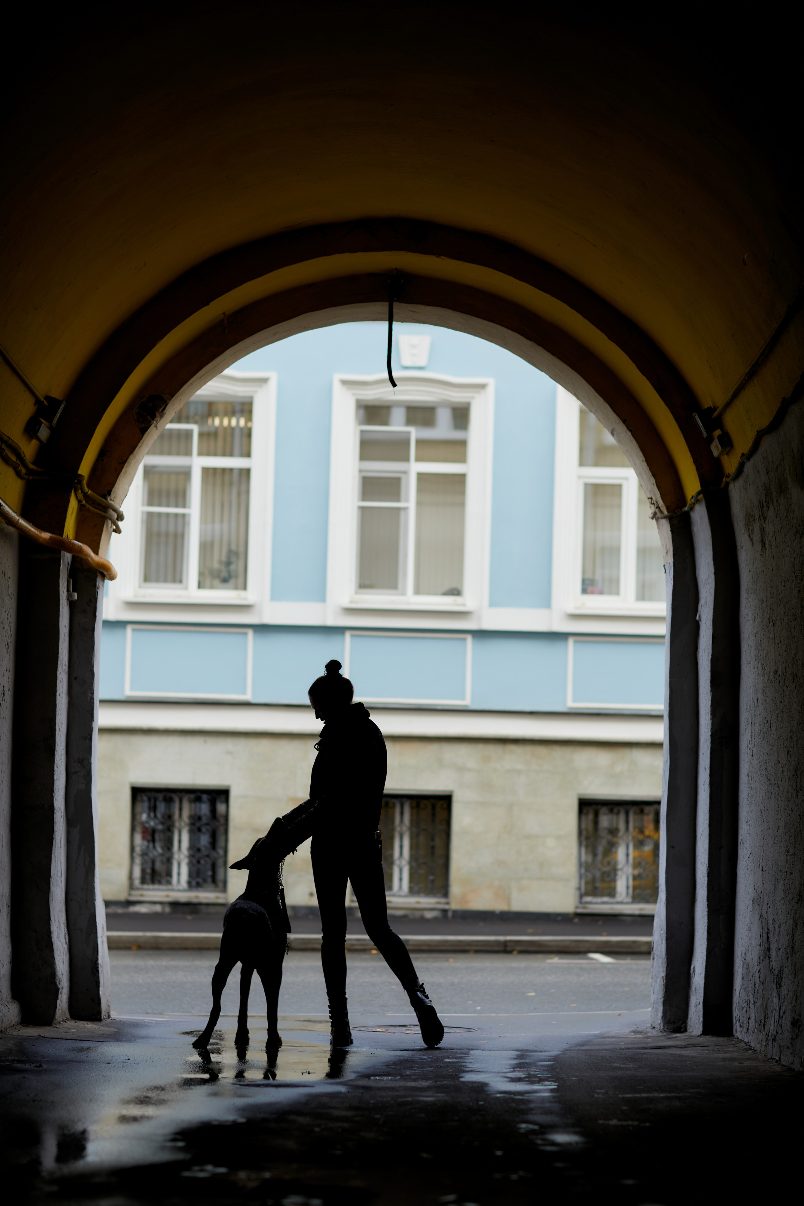 Наталия и Аполло. Портретный, репортажный и пейзажный фотограф в Москве Сергей Арест