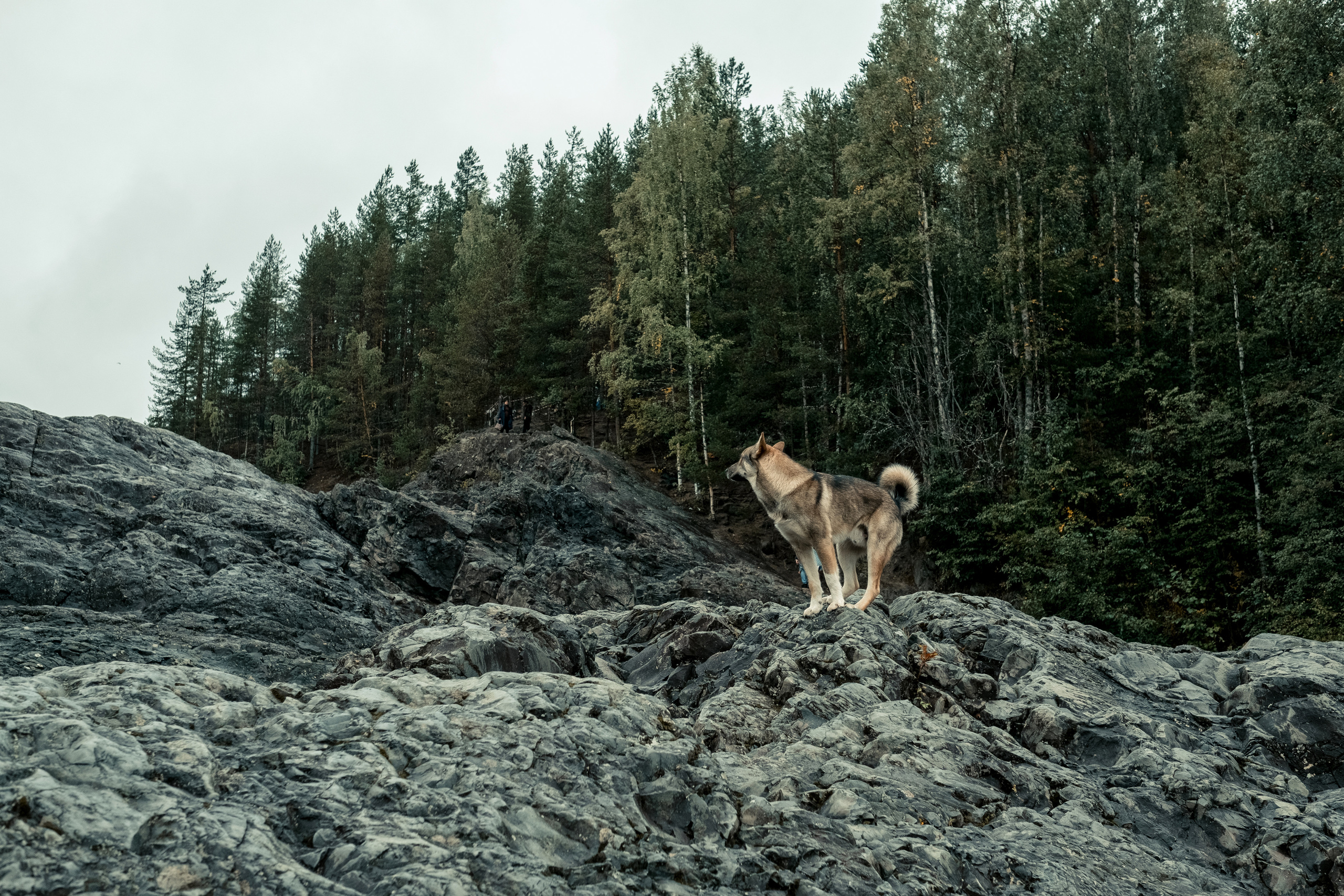 Стрит | Пейзаж. Портретный, репортажный и пейзажный фотограф в Москве Сергей Арест