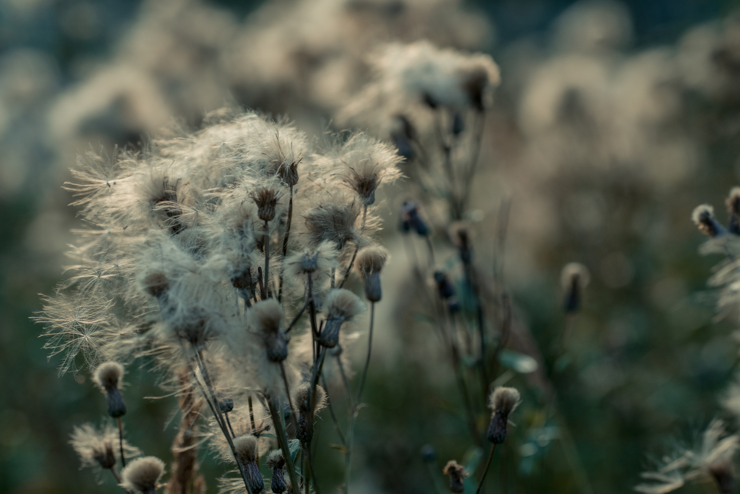 Стрит | Пейзаж. Портретный, репортажный и пейзажный фотограф в Москве Сергей Арест