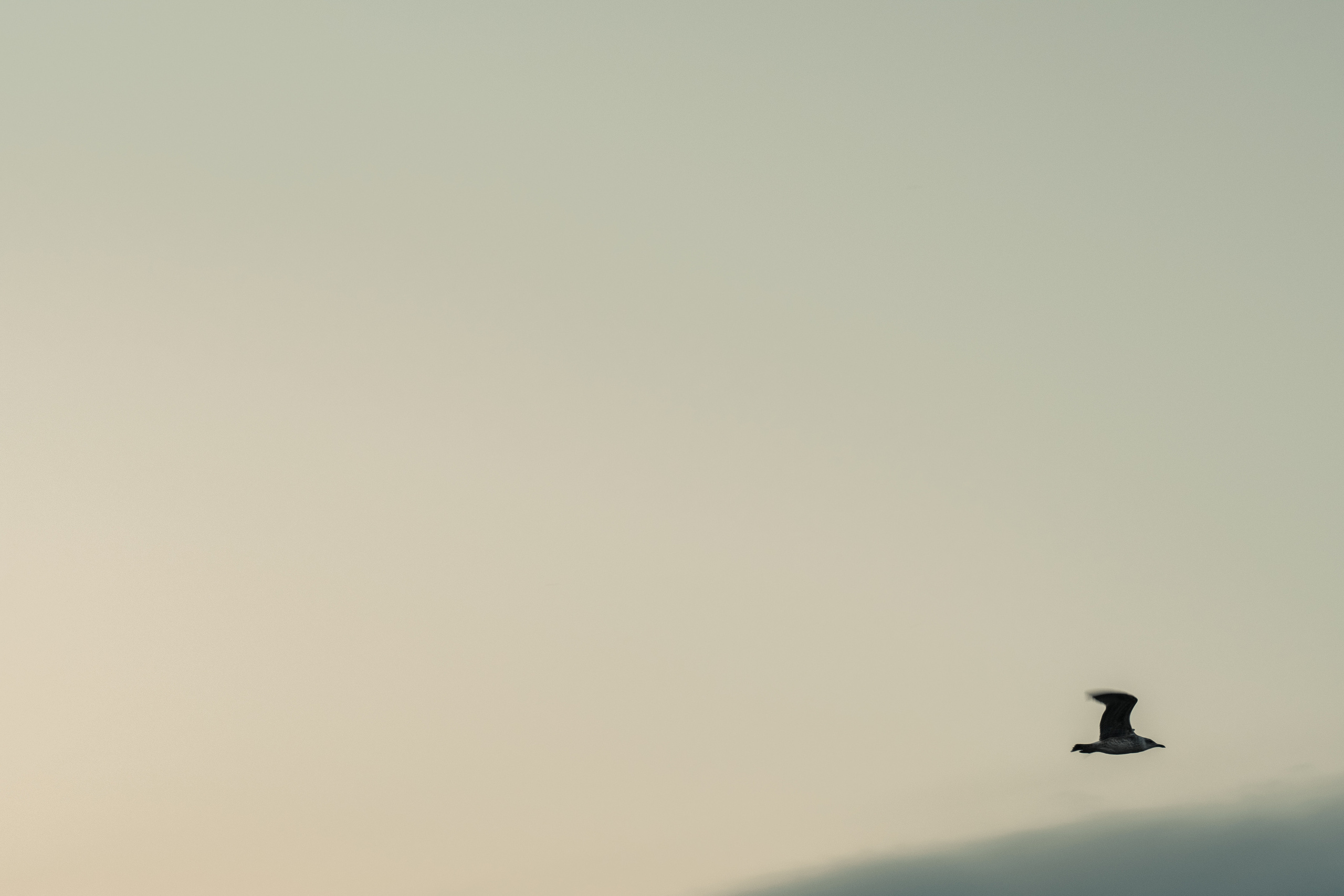 Стрит | Пейзаж. Портретный, репортажный и пейзажный фотограф в Москве Сергей Арест