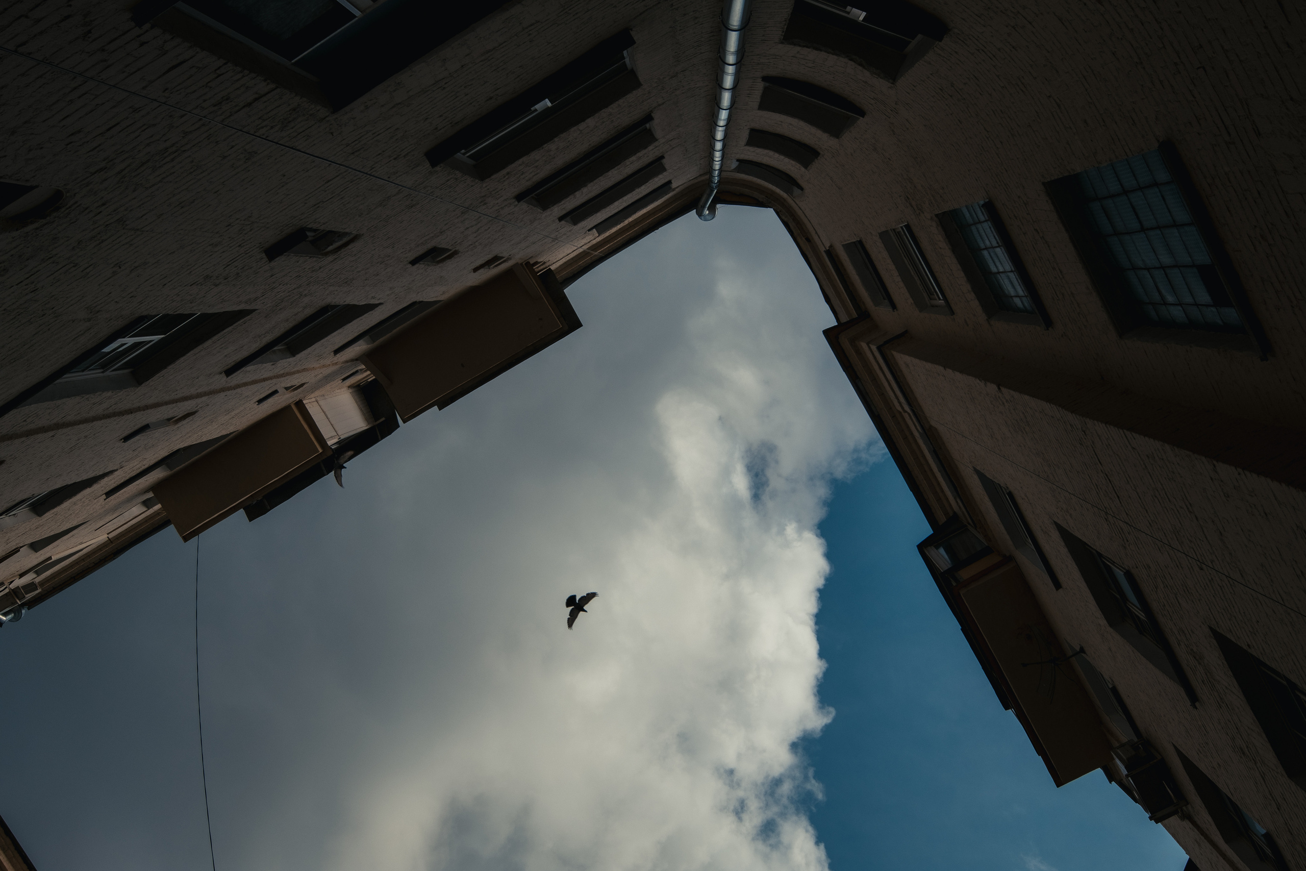 Стрит | Пейзаж. Портретный, репортажный и пейзажный фотограф в Москве Сергей Арест