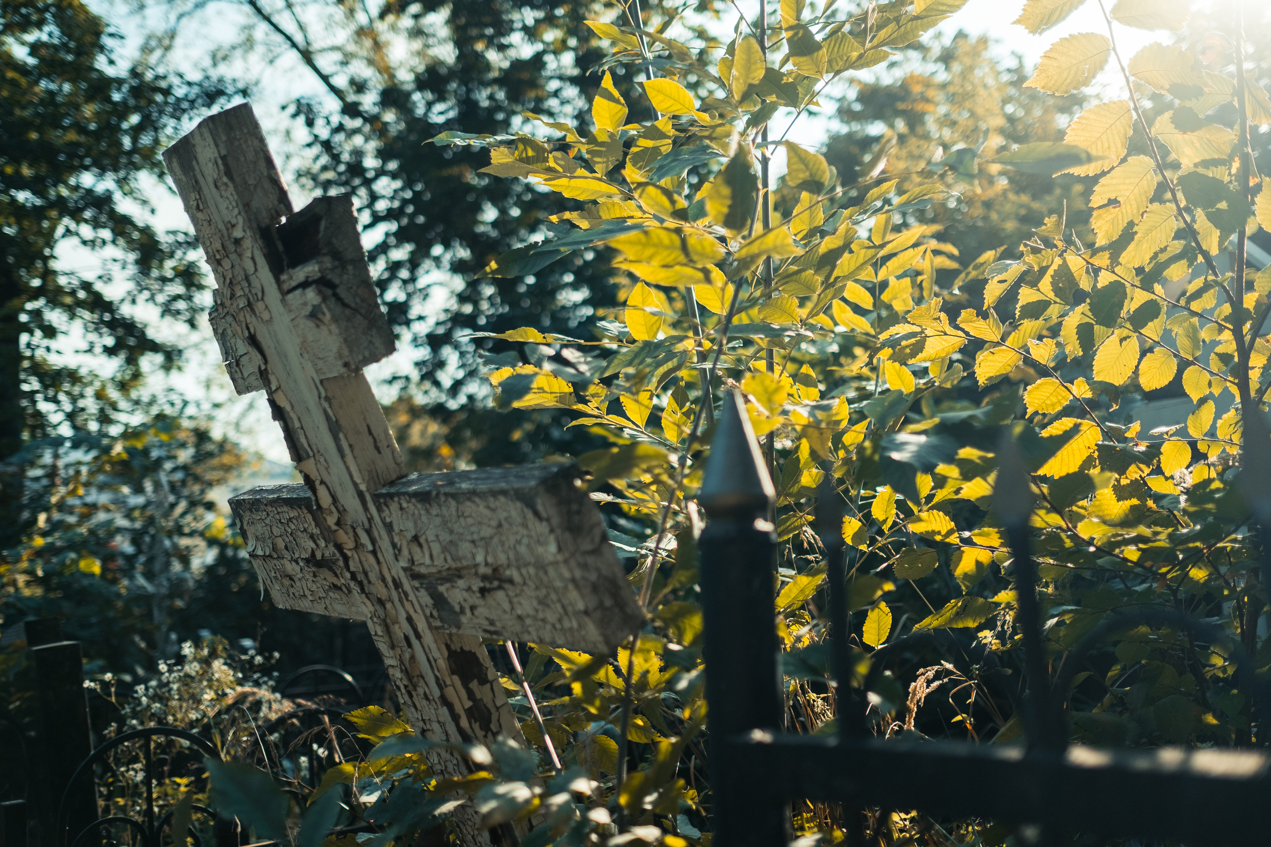 Стрит | Пейзаж. Портретный, репортажный и пейзажный фотограф в Москве Сергей Арест
