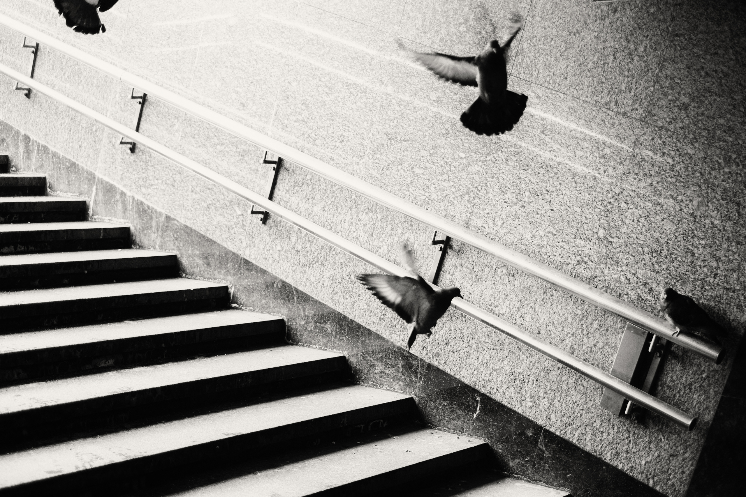 Стрит | Пейзаж. Портретный, репортажный и пейзажный фотограф в Москве Сергей Арест