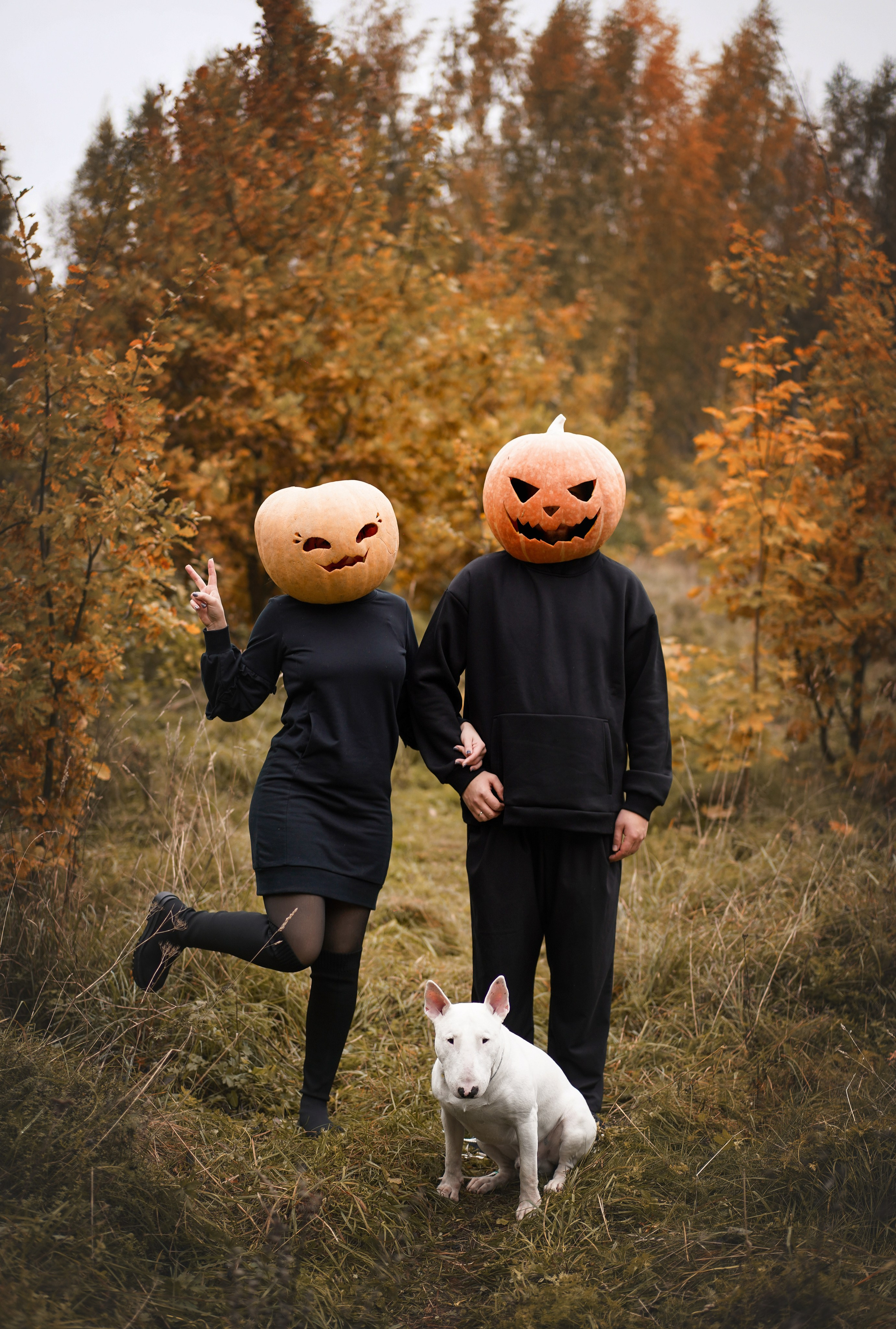 Настя Рома и Сахар Хелоуин. Фотограф-анималист в Санкт-Петербурге Яна Мартынова