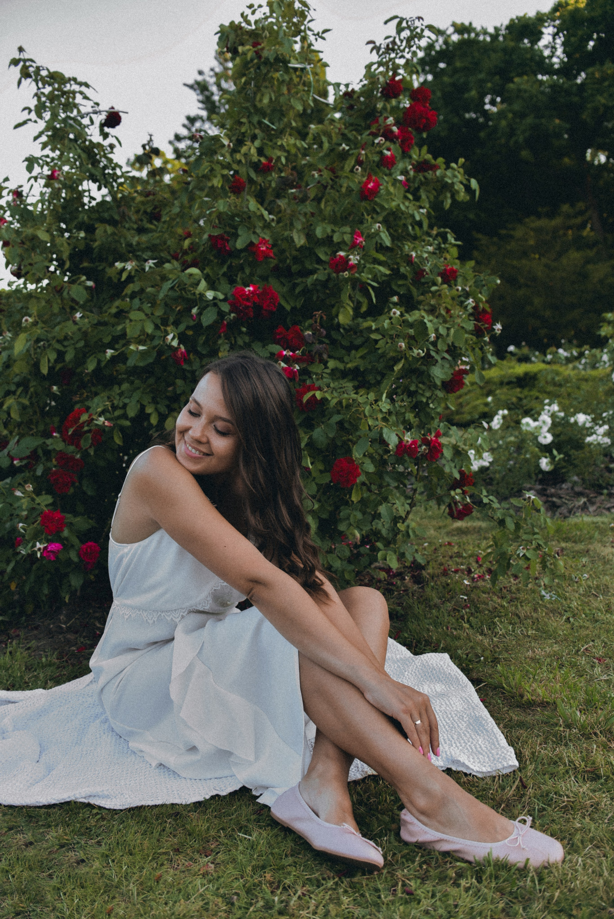 Розовая роща. Семейный фотограф Milena feel it