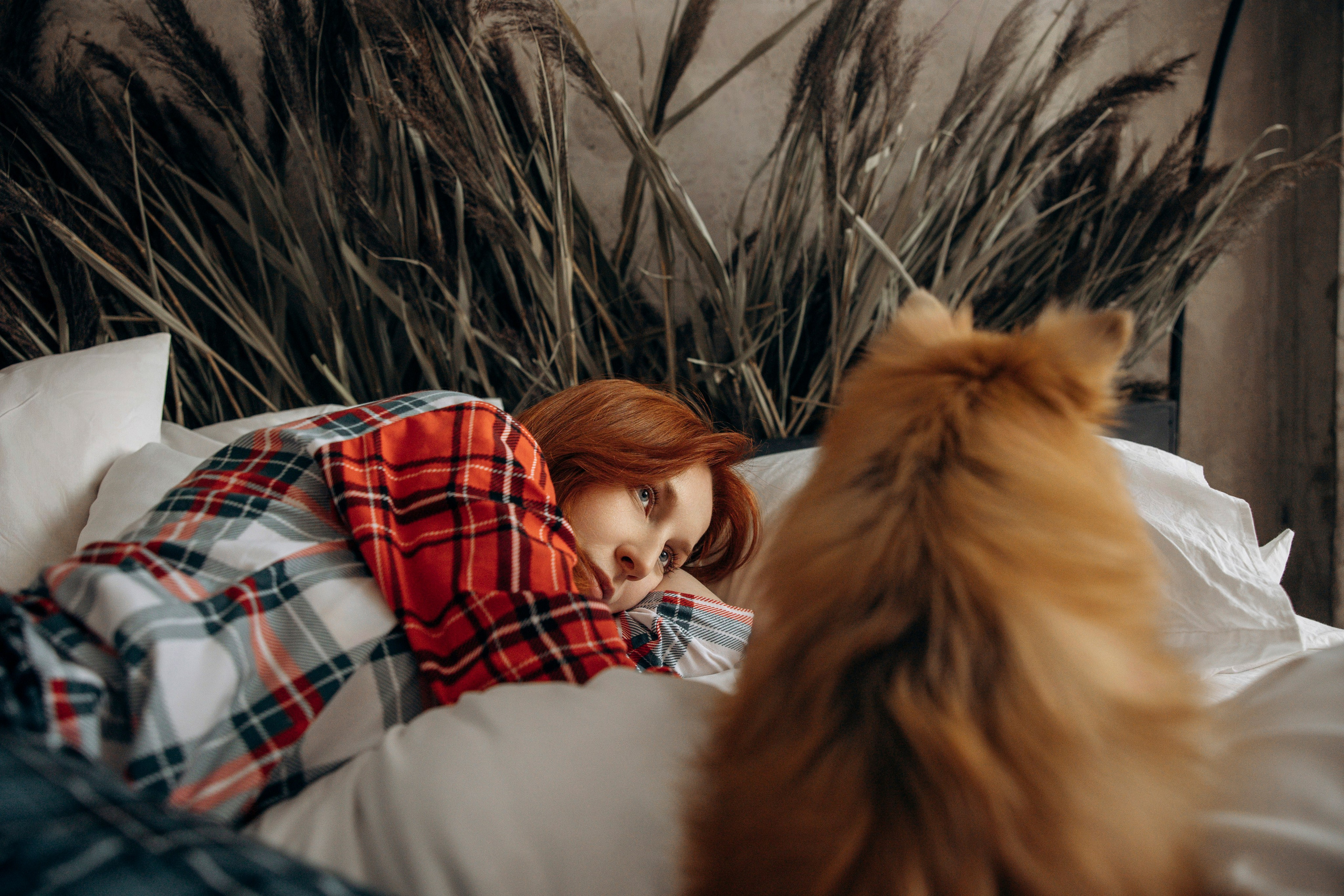 Съемка в студии с собакой. Анастасия Белаш