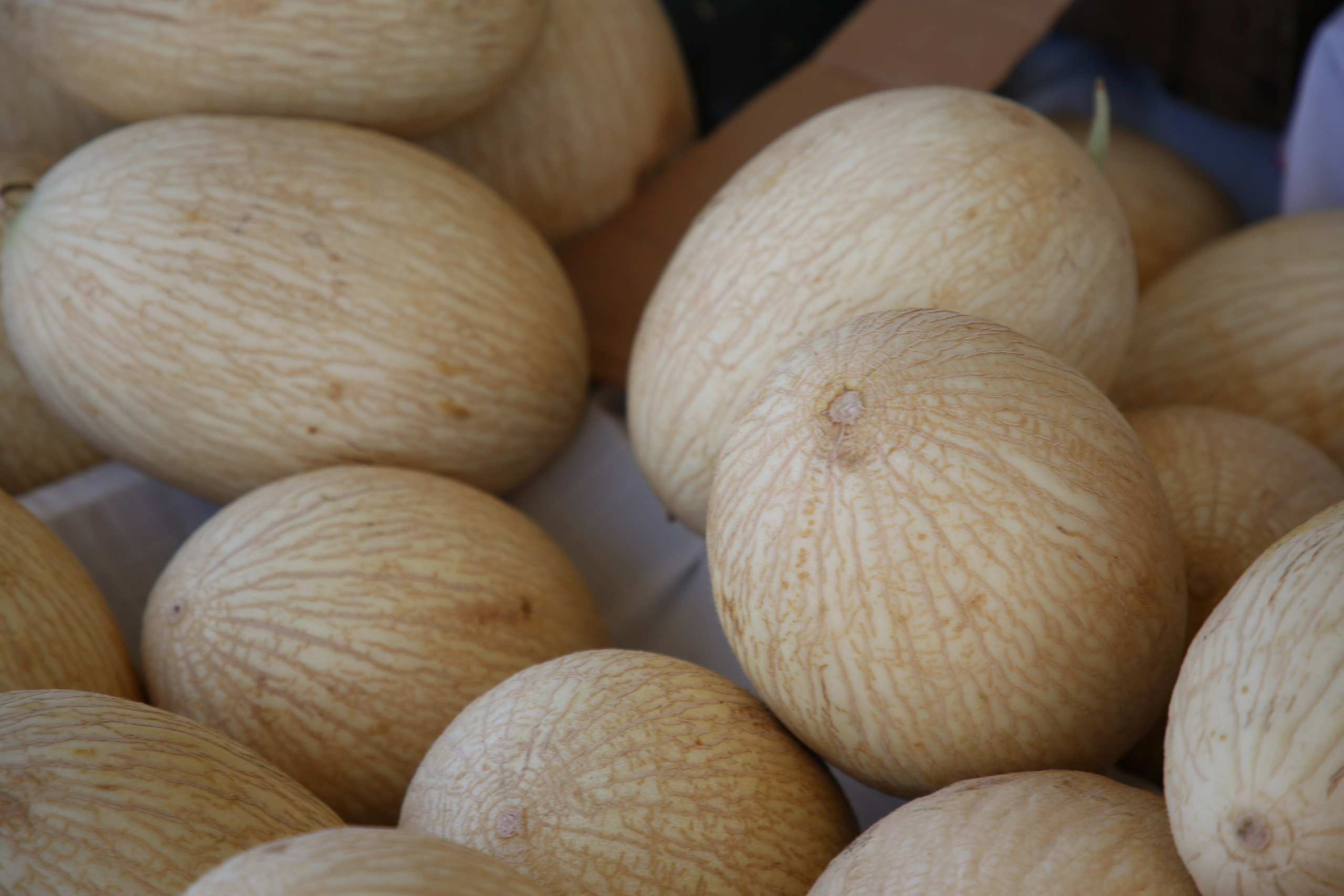 Espihnio, Portugal. Andrey Filippov Photographer