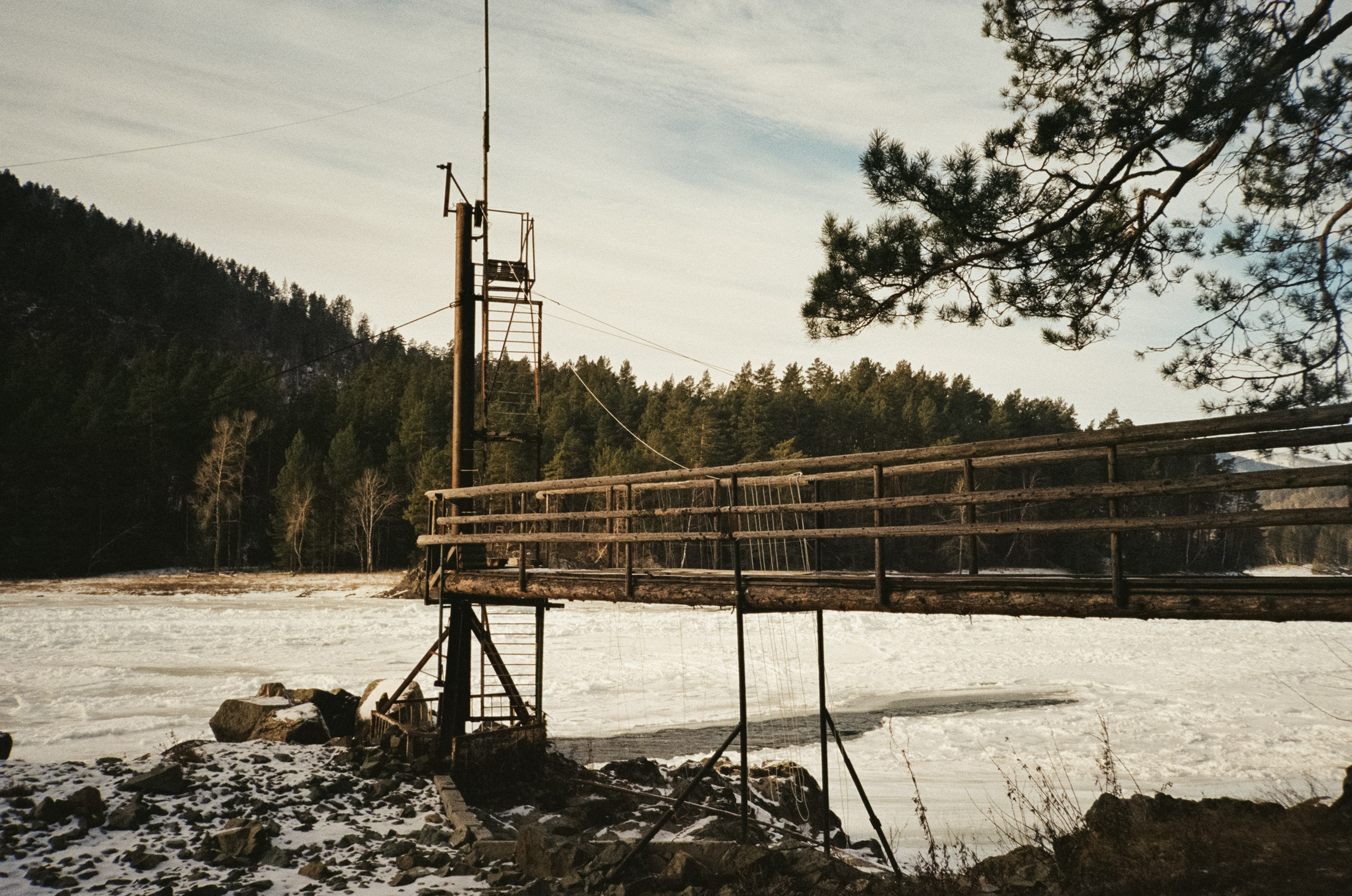 От Кызыл-Таша до Чемала. Техас, горы, поля и коровы. Фотограф-документалист Мария Осокина