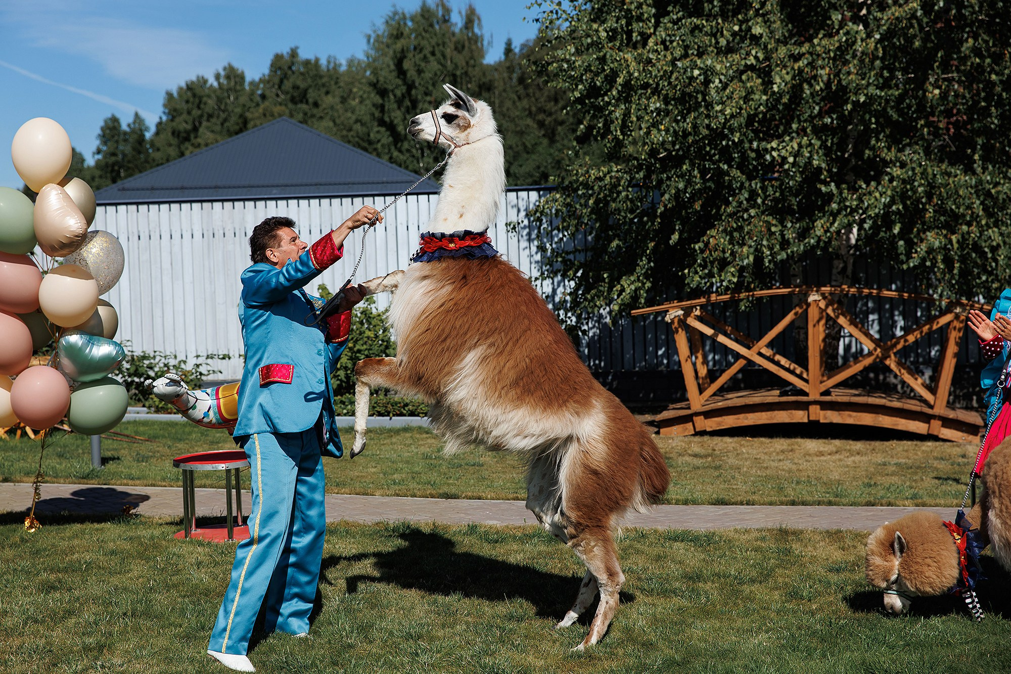 Детские праздники и дни рождения. Фотограф в Москве Валерий Боцман