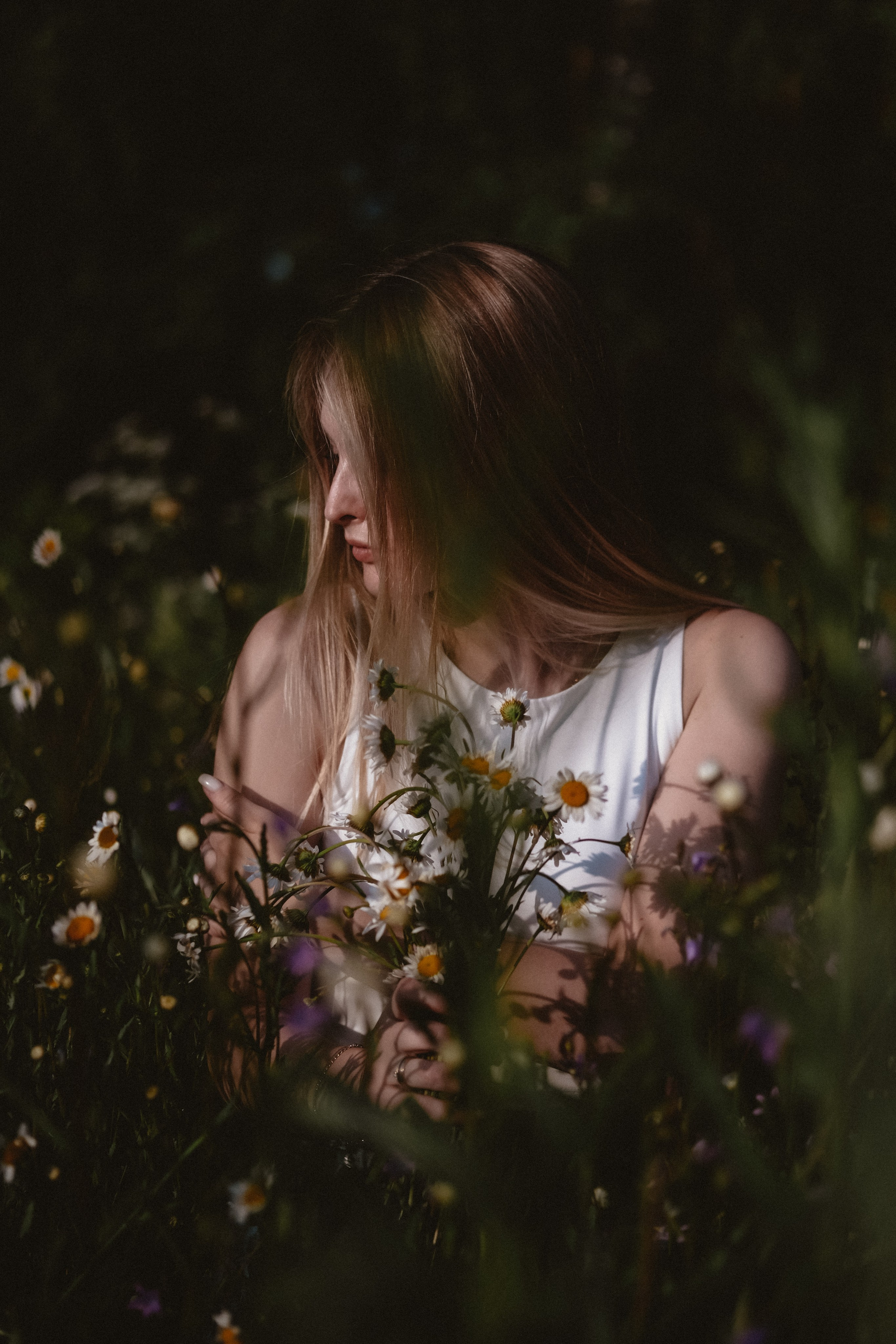 Ромашки. Фотограф и контентмейкер Света Лето | Москва, МО
