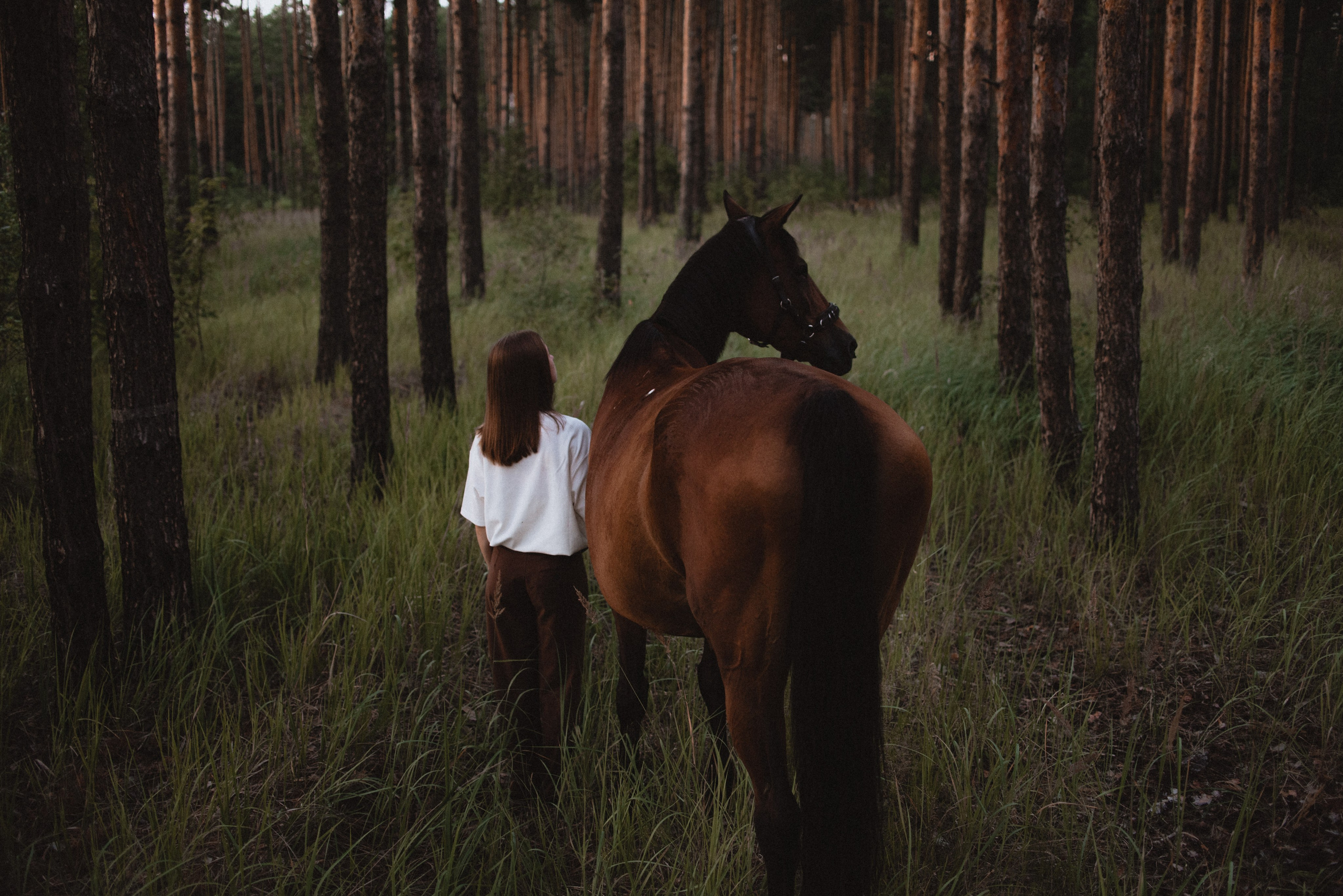 Таня и Гохрида. MariaGohri — Конный фотограф, анималист, Рязань
