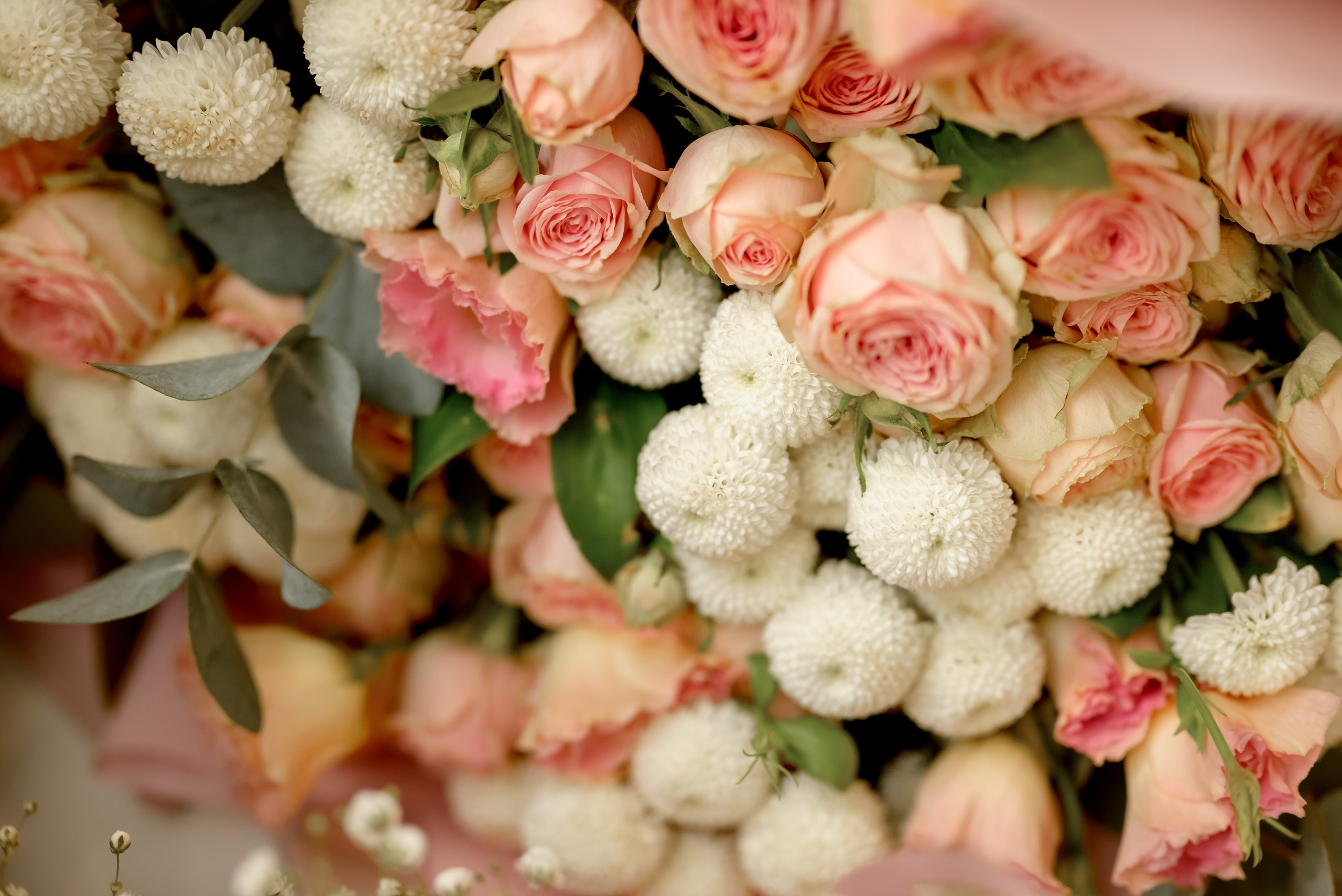 Банкетная часть (1). Юлия Басня семейный и свадебный фотограф в Донецке