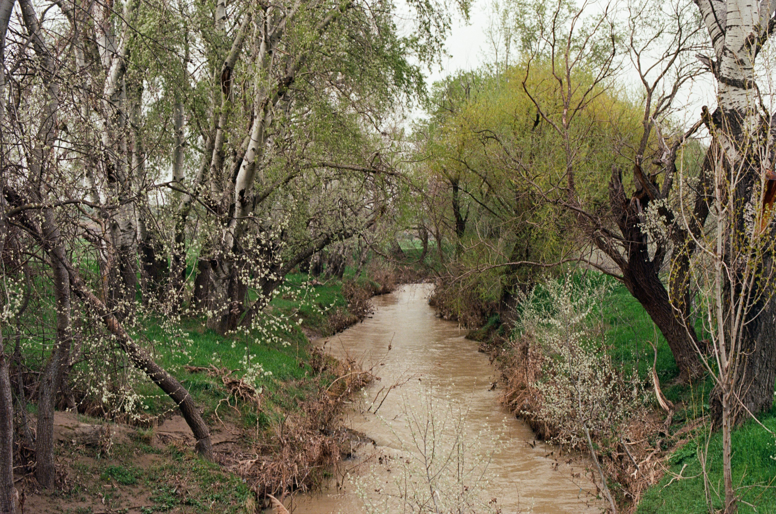 Follow you // ukraine, crimea II. EVER EXPOSED